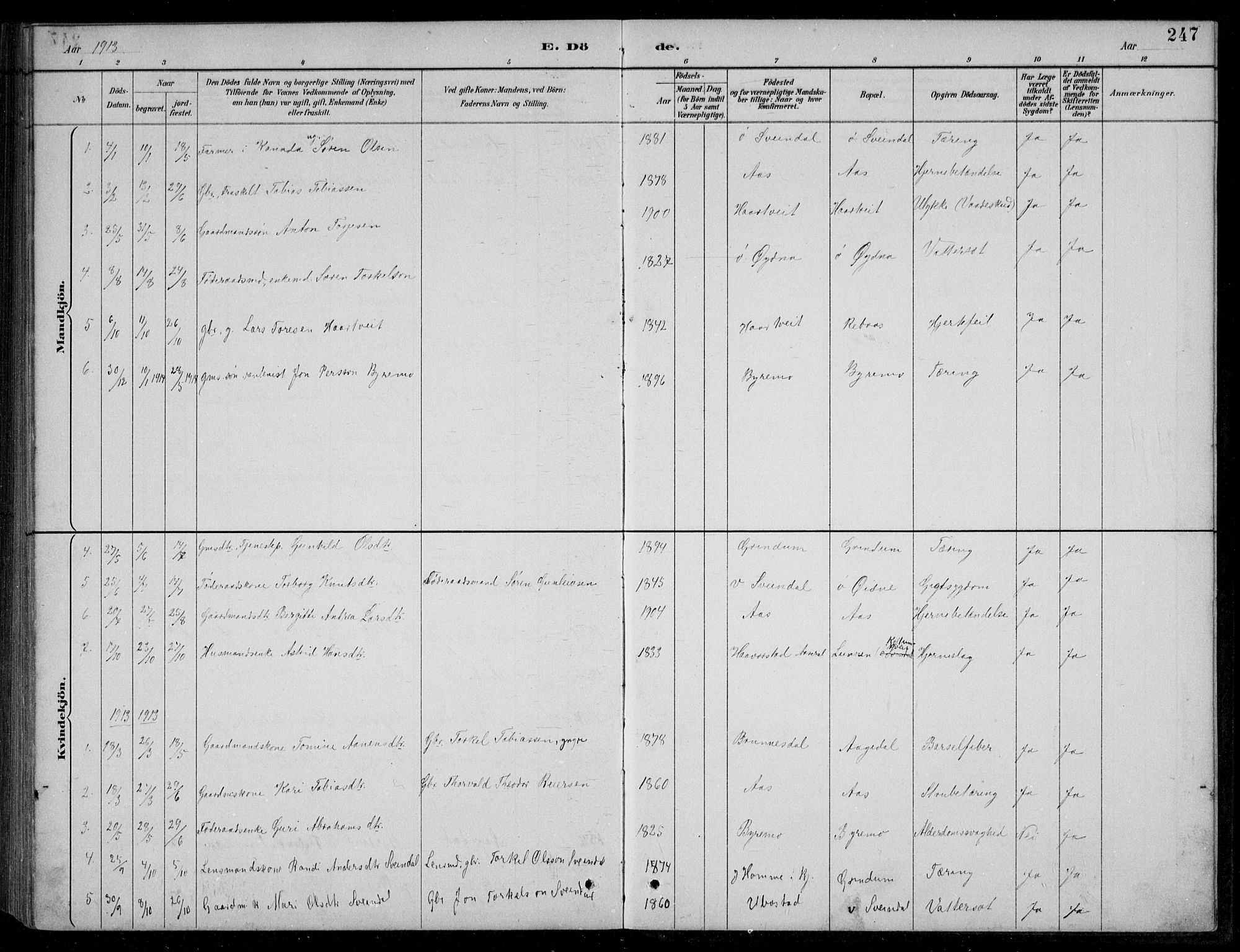 Bjelland sokneprestkontor, SAK/1111-0005/F/Fb/Fbc/L0003: Parish register (copy) no. B 3, 1887-1924, p. 247