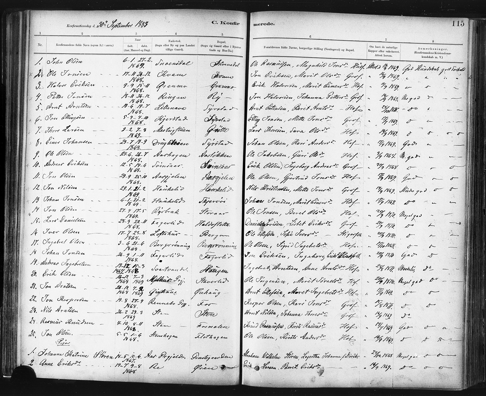 Ministerialprotokoller, klokkerbøker og fødselsregistre - Sør-Trøndelag, AV/SAT-A-1456/672/L0857: Parish register (official) no. 672A09, 1882-1893, p. 115