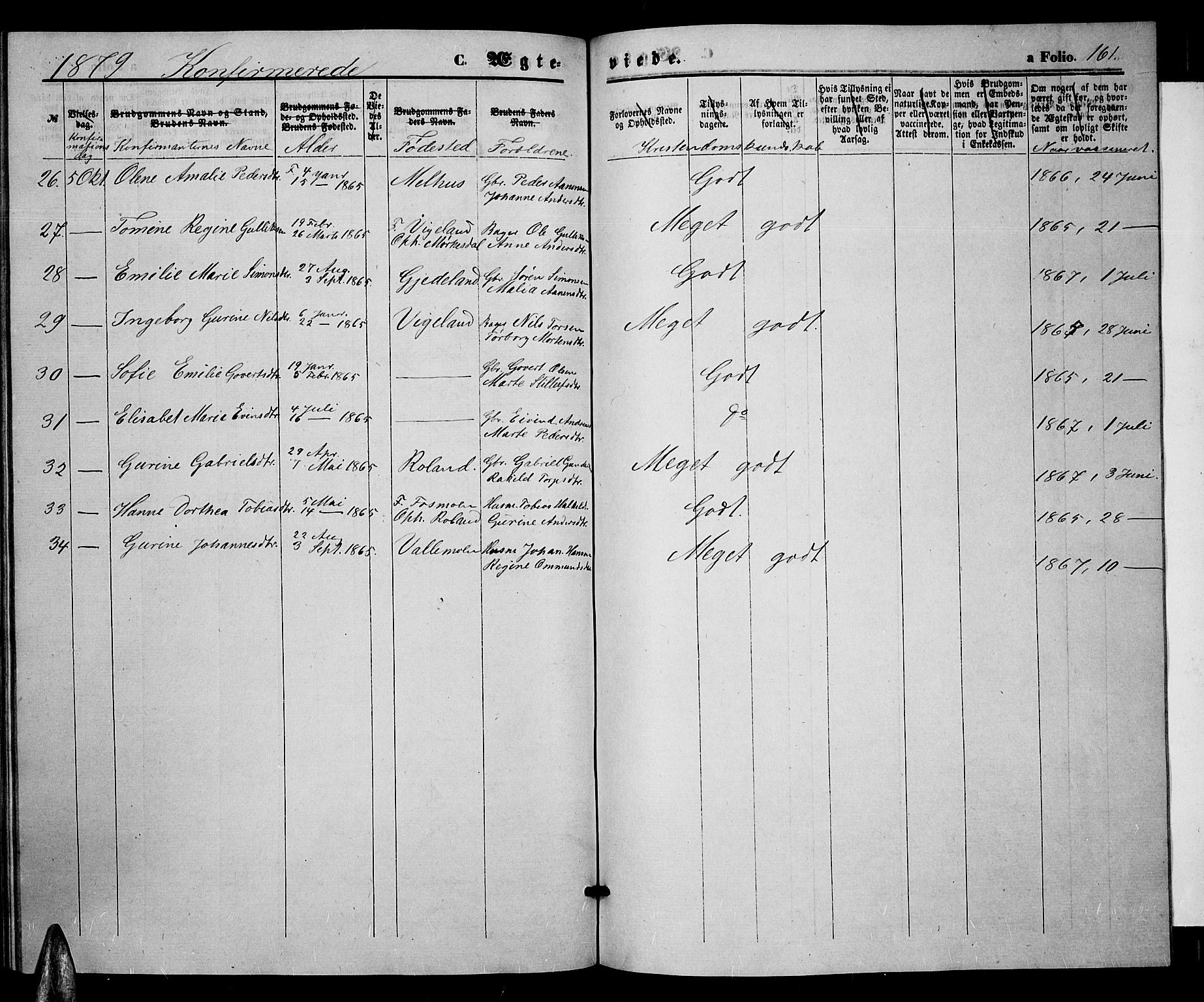 Sør-Audnedal sokneprestkontor, AV/SAK-1111-0039/F/Fb/Fbb/L0004: Parish register (copy) no. B 4, 1868-1879, p. 161