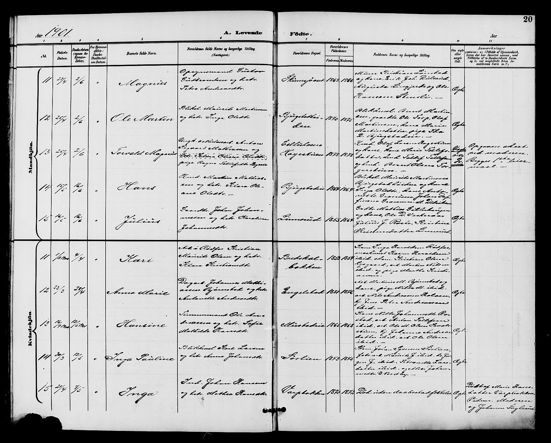 Vardal prestekontor, SAH/PREST-100/H/Ha/Hab/L0011: Parish register (copy) no. 11, 1899-1913, p. 20