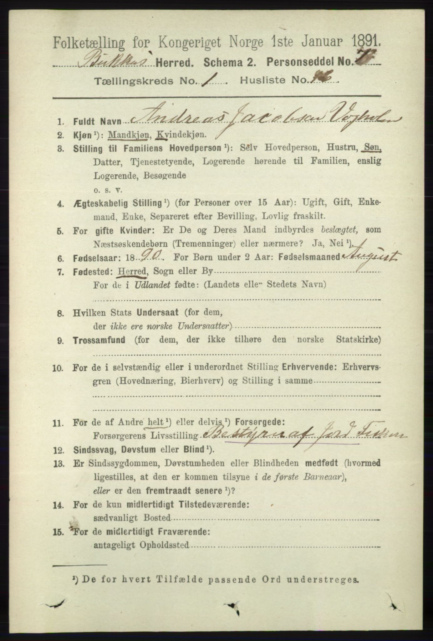 RA, 1891 census for 1145 Bokn, 1891, p. 293