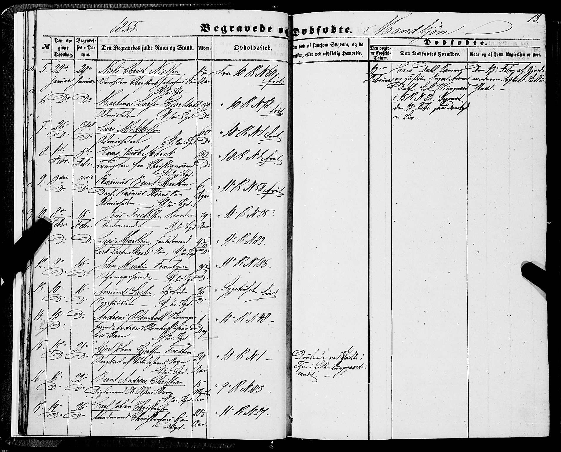 Domkirken sokneprestembete, SAB/A-74801/H/Haa/L0041: Parish register (official) no. E 2, 1853-1863, p. 13