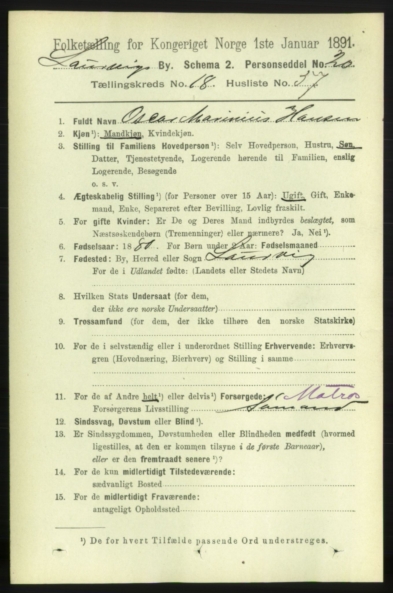 RA, 1891 census for 0707 Larvik, 1891, p. 13658