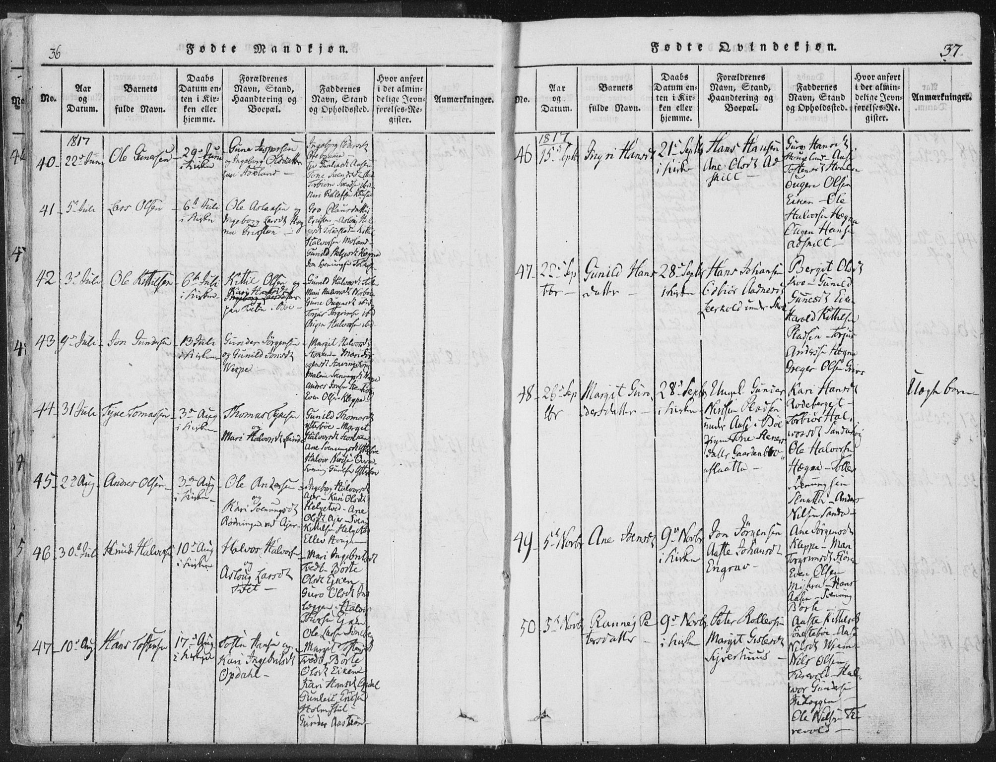Bø kirkebøker, AV/SAKO-A-257/F/Fa/L0006: Parish register (official) no. 6, 1815-1831, p. 36-37