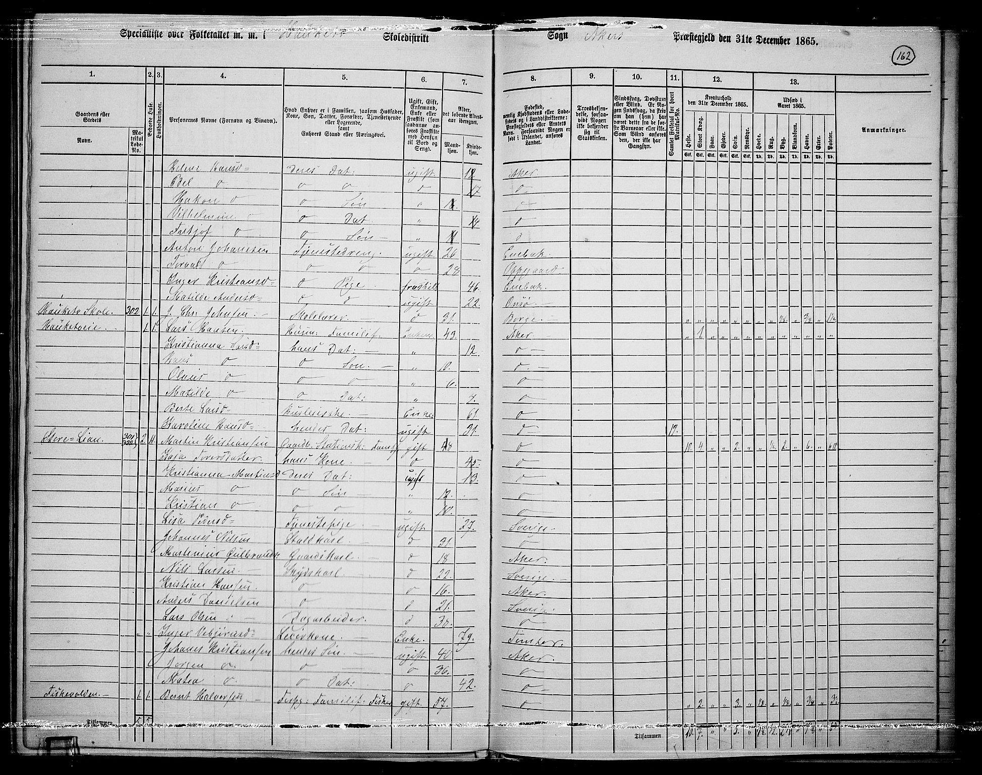 RA, 1865 census for Østre Aker, 1865, p. 381