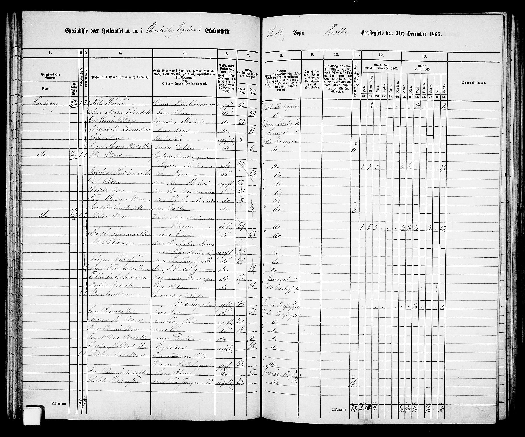 RA, 1865 census for Holt/Holt, 1865, p. 60