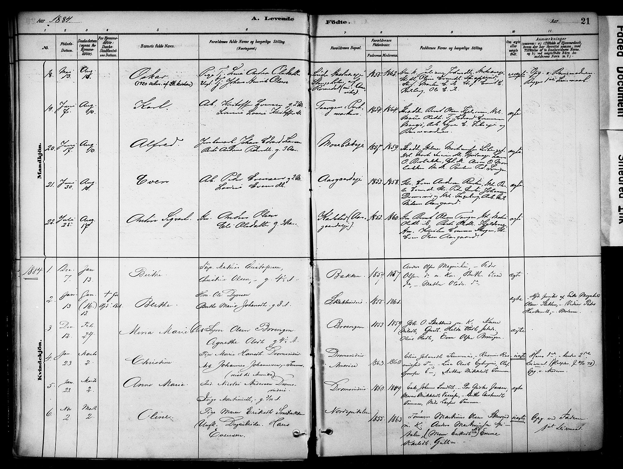 Stange prestekontor, SAH/PREST-002/K/L0018: Parish register (official) no. 18, 1880-1896, p. 21