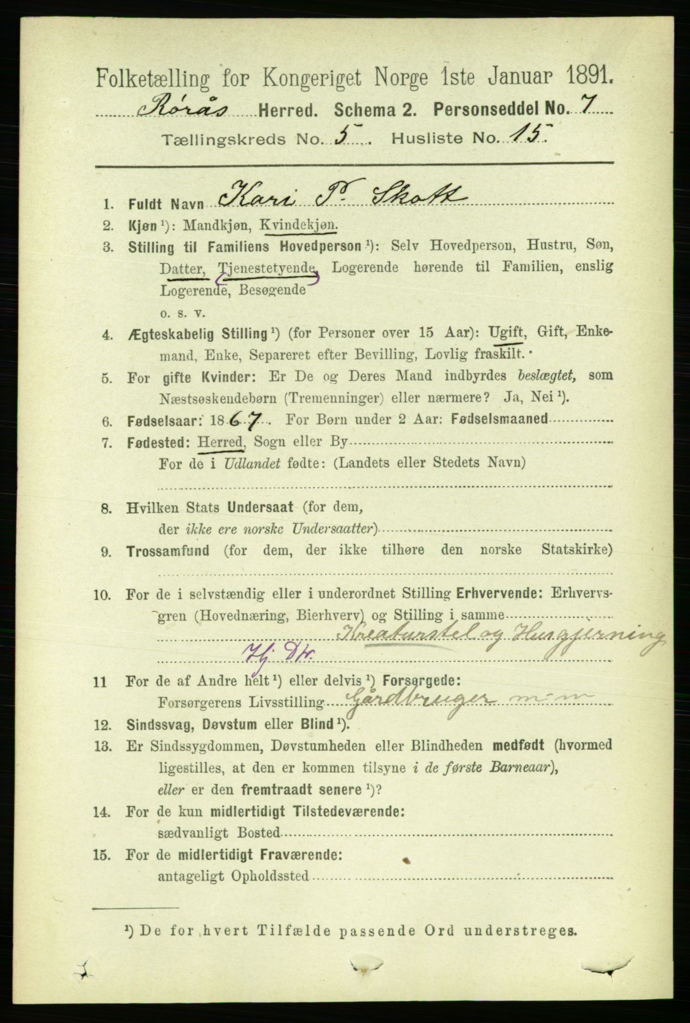 RA, 1891 census for 1640 Røros, 1891, p. 1107