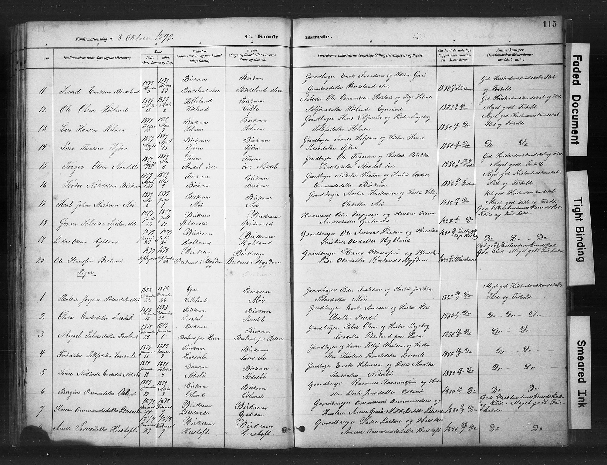 Helleland sokneprestkontor, SAST/A-101810: Parish register (copy) no. B 5, 1887-1908, p. 115
