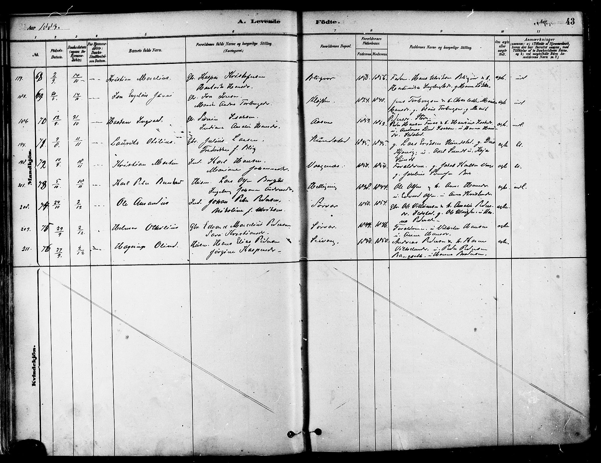 Ministerialprotokoller, klokkerbøker og fødselsregistre - Nordland, AV/SAT-A-1459/802/L0054: Parish register (official) no. 802A01, 1879-1893, p. 43