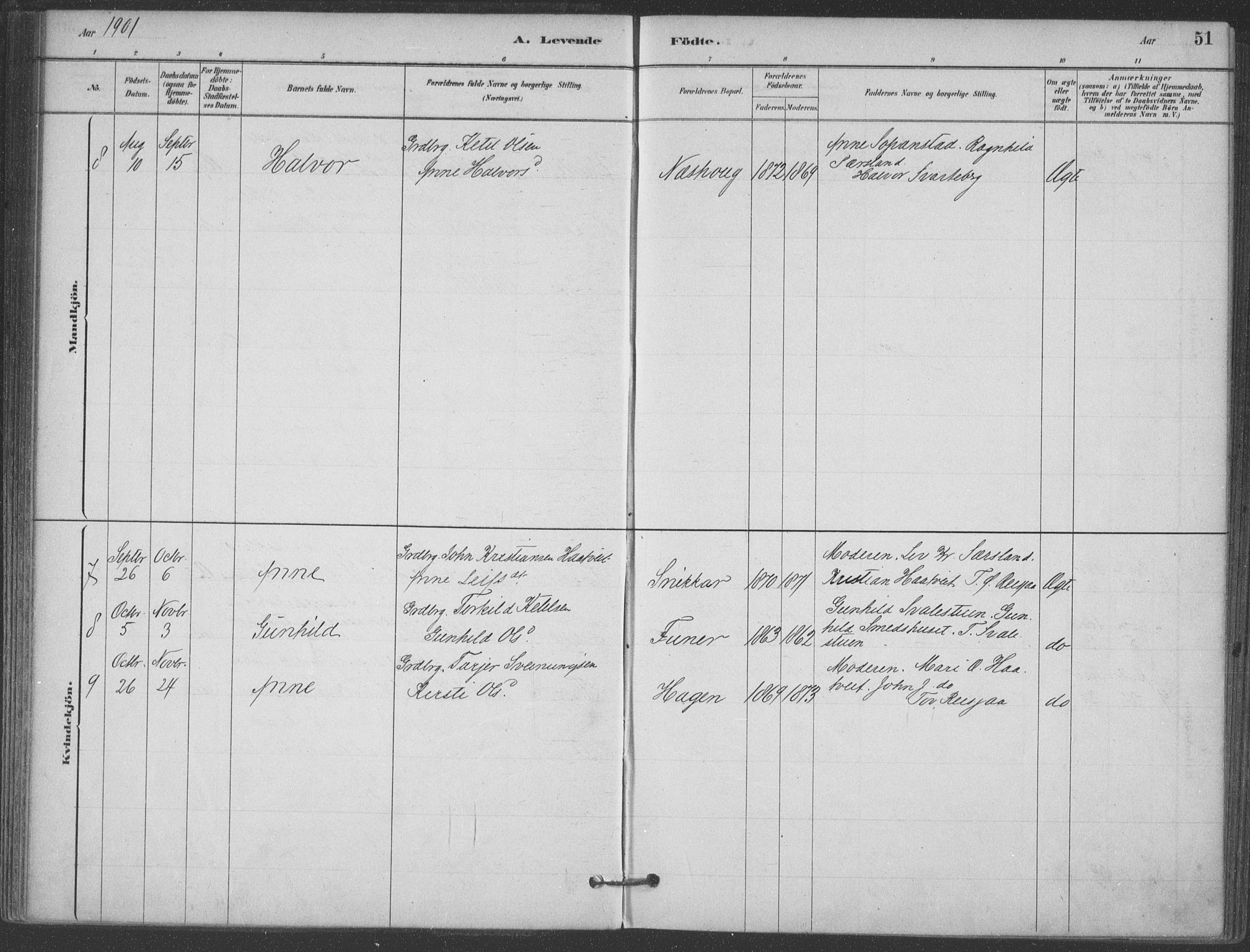 Hjartdal kirkebøker, AV/SAKO-A-270/F/Fa/L0010: Parish register (official) no. I 10, 1880-1929, p. 51