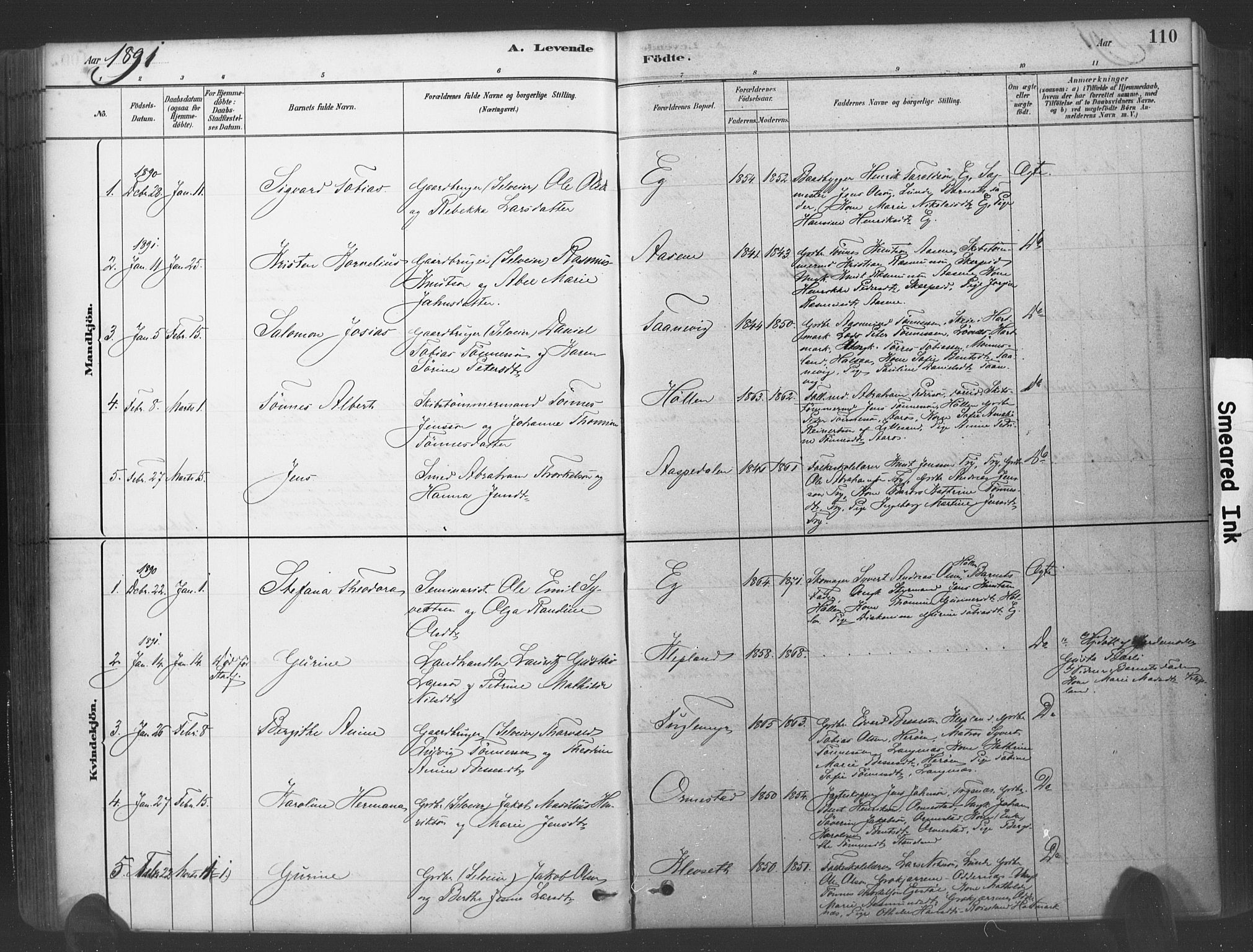 Søgne sokneprestkontor, SAK/1111-0037/F/Fa/Fab/L0012: Parish register (official) no. A 12, 1880-1891, p. 110
