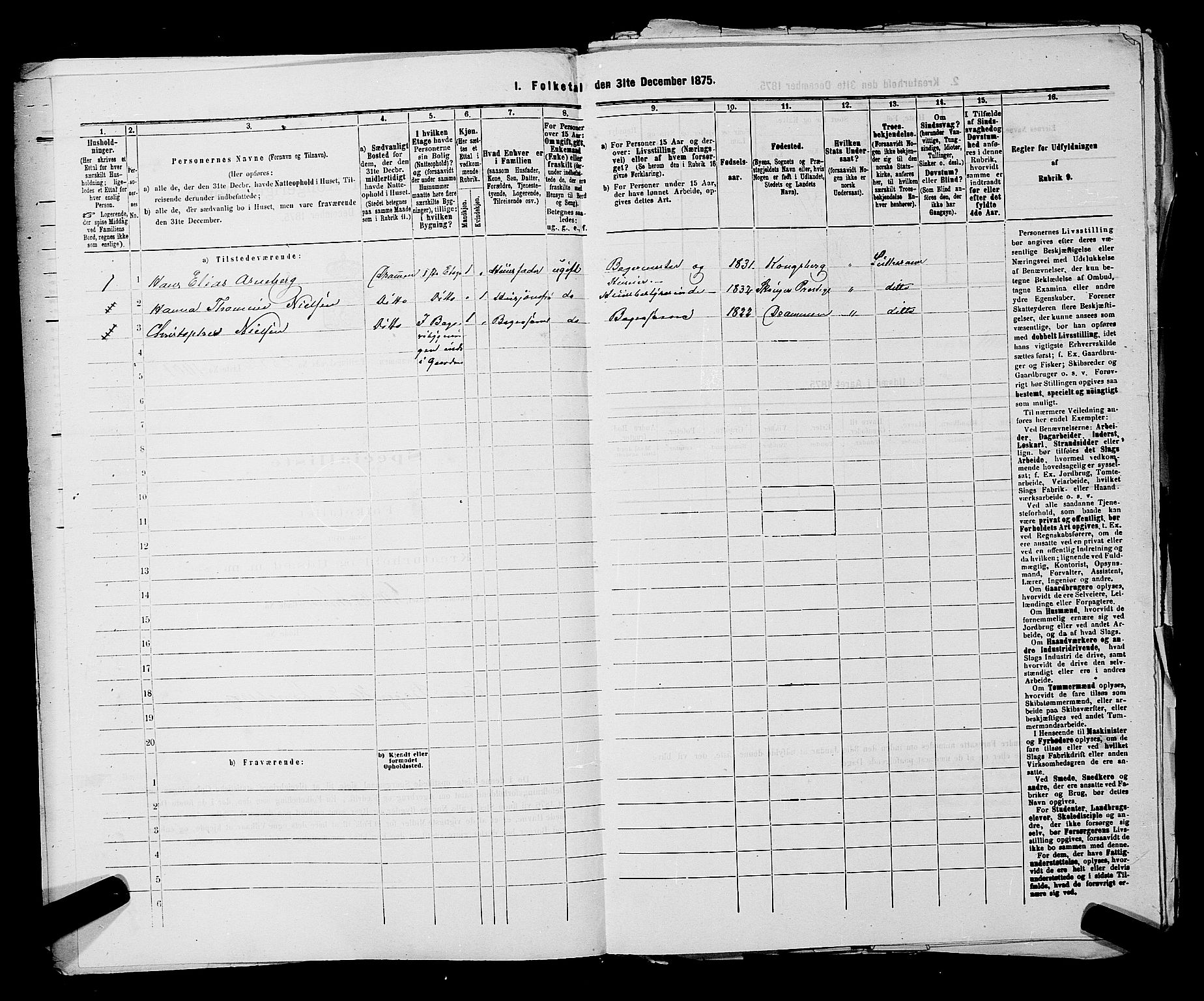 SAKO, 1875 census for 0602 Drammen, 1875, p. 2653