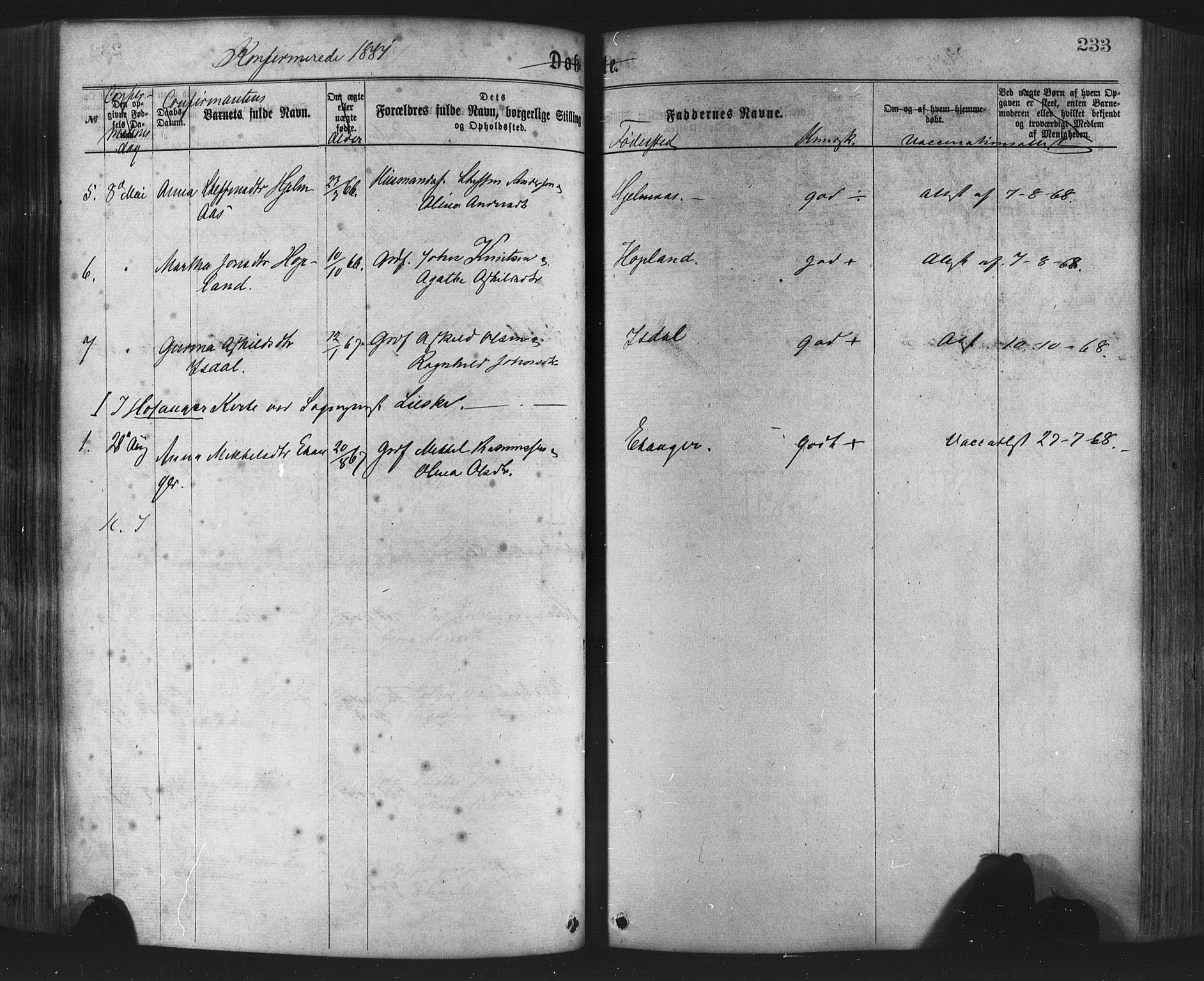 Hamre sokneprestembete, AV/SAB-A-75501/H/Ha/Haa/Haaa/L0015: Parish register (official) no. A 15, 1870-1881, p. 233