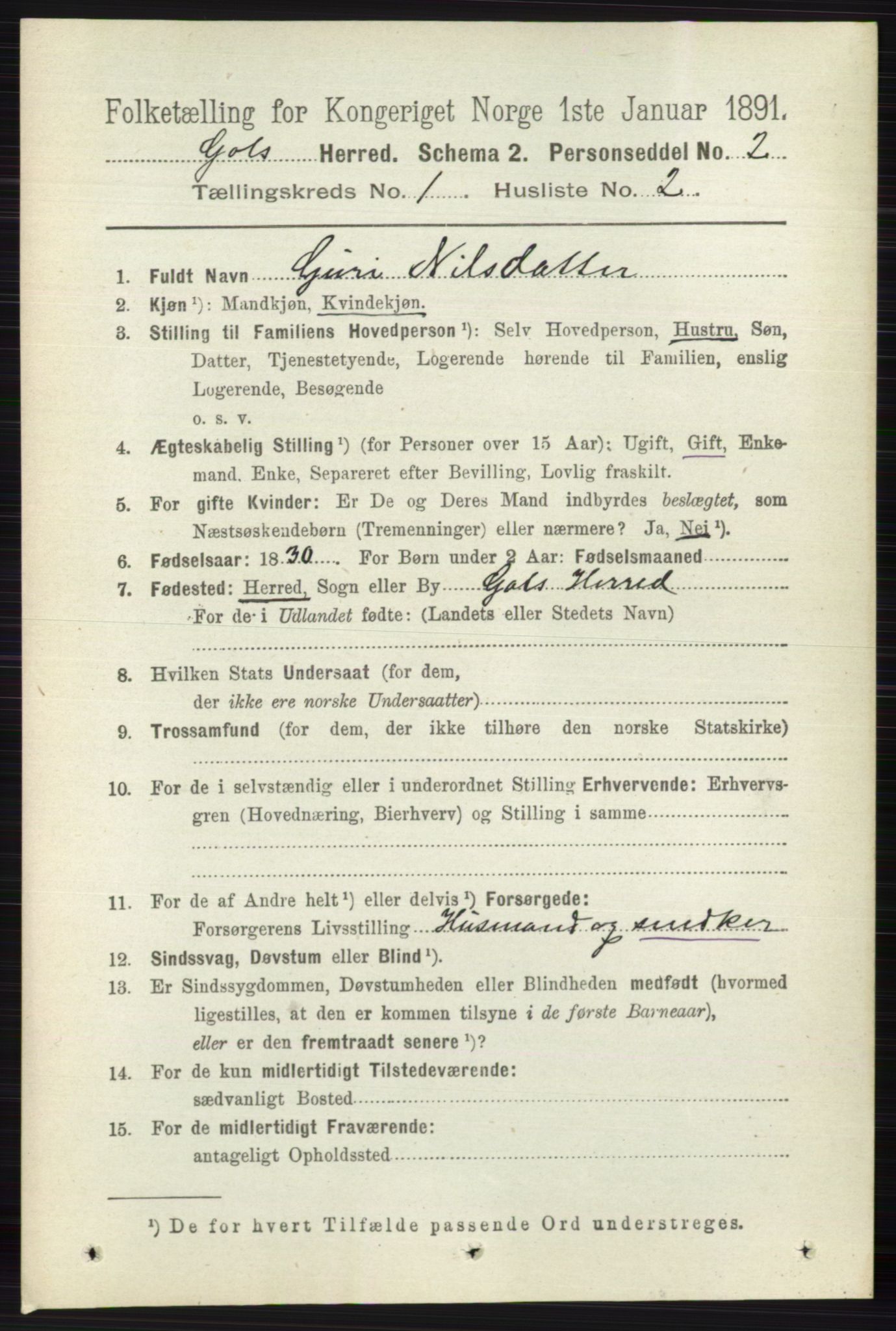 RA, 1891 census for 0617 Gol og Hemsedal, 1891, p. 131