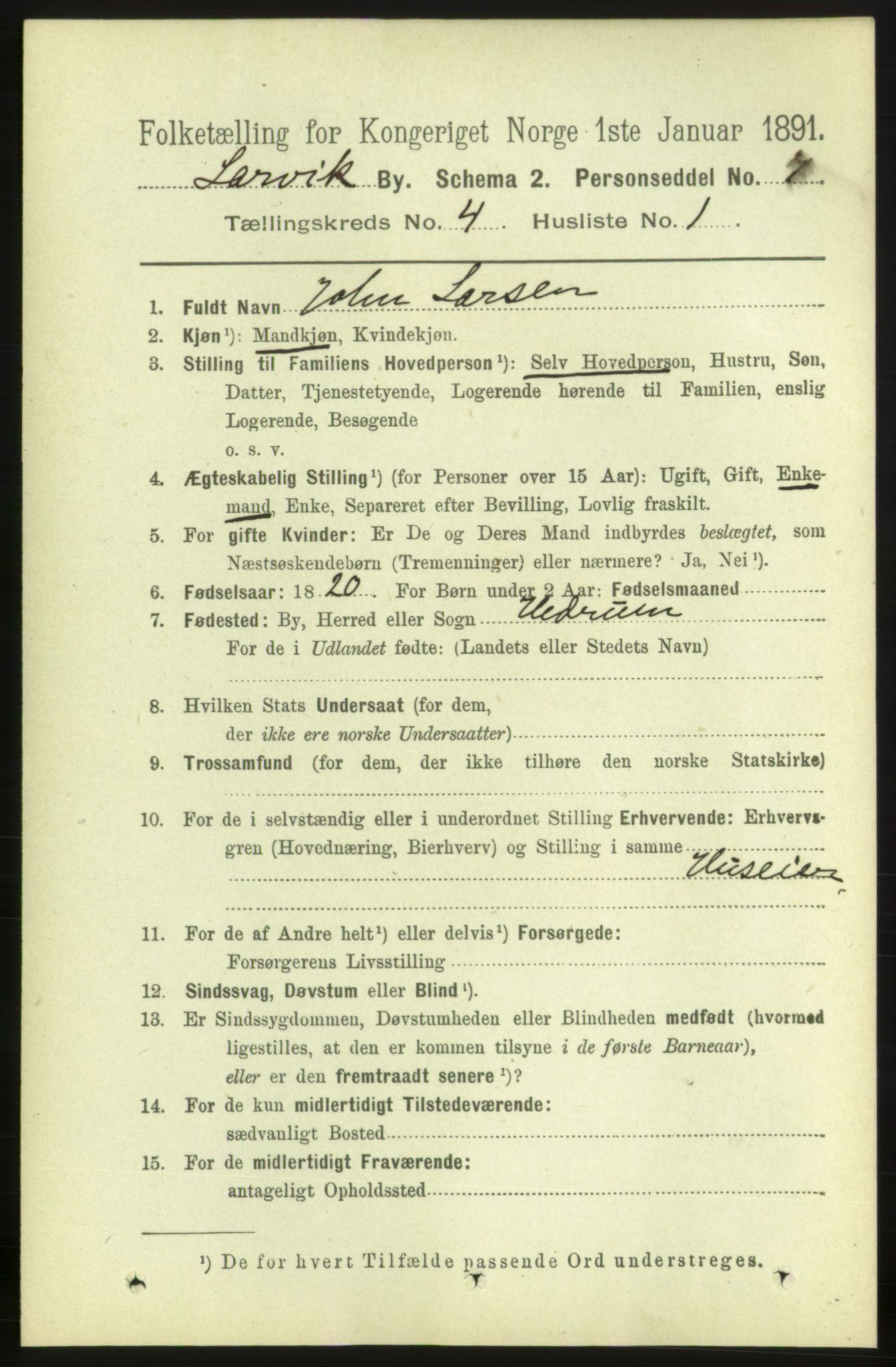 RA, 1891 census for 0707 Larvik, 1891, p. 5064