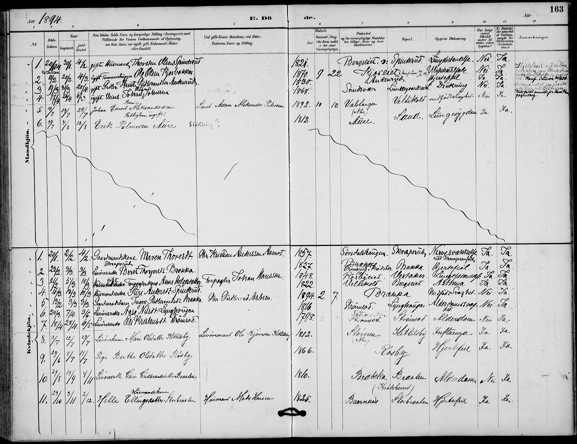 Lunder kirkebøker, AV/SAKO-A-629/F/Fa/L0001: Parish register (official) no. I 1, 1885-1912, p. 163