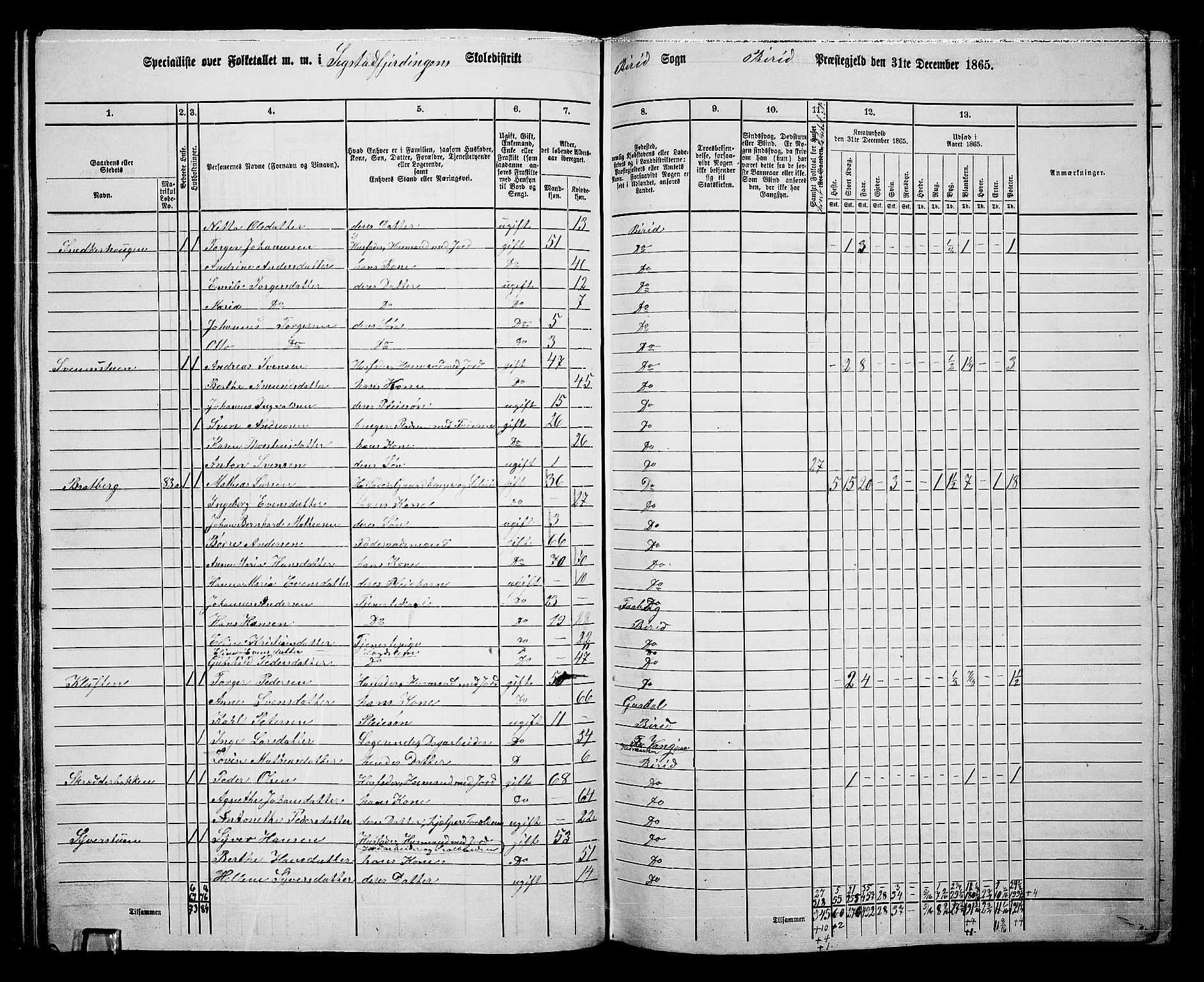 RA, 1865 census for Biri, 1865, p. 76