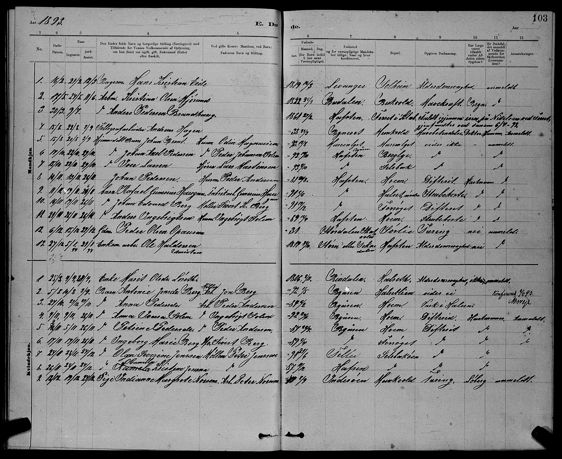 Ministerialprotokoller, klokkerbøker og fødselsregistre - Sør-Trøndelag, SAT/A-1456/611/L0354: Parish register (copy) no. 611C02, 1881-1896, p. 103