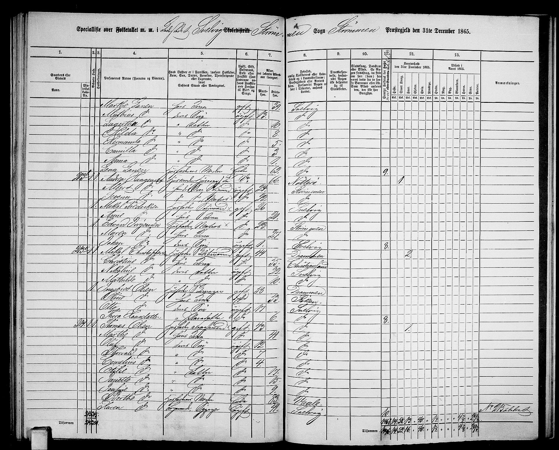 RA, 1865 census for Strømm, 1865, p. 112