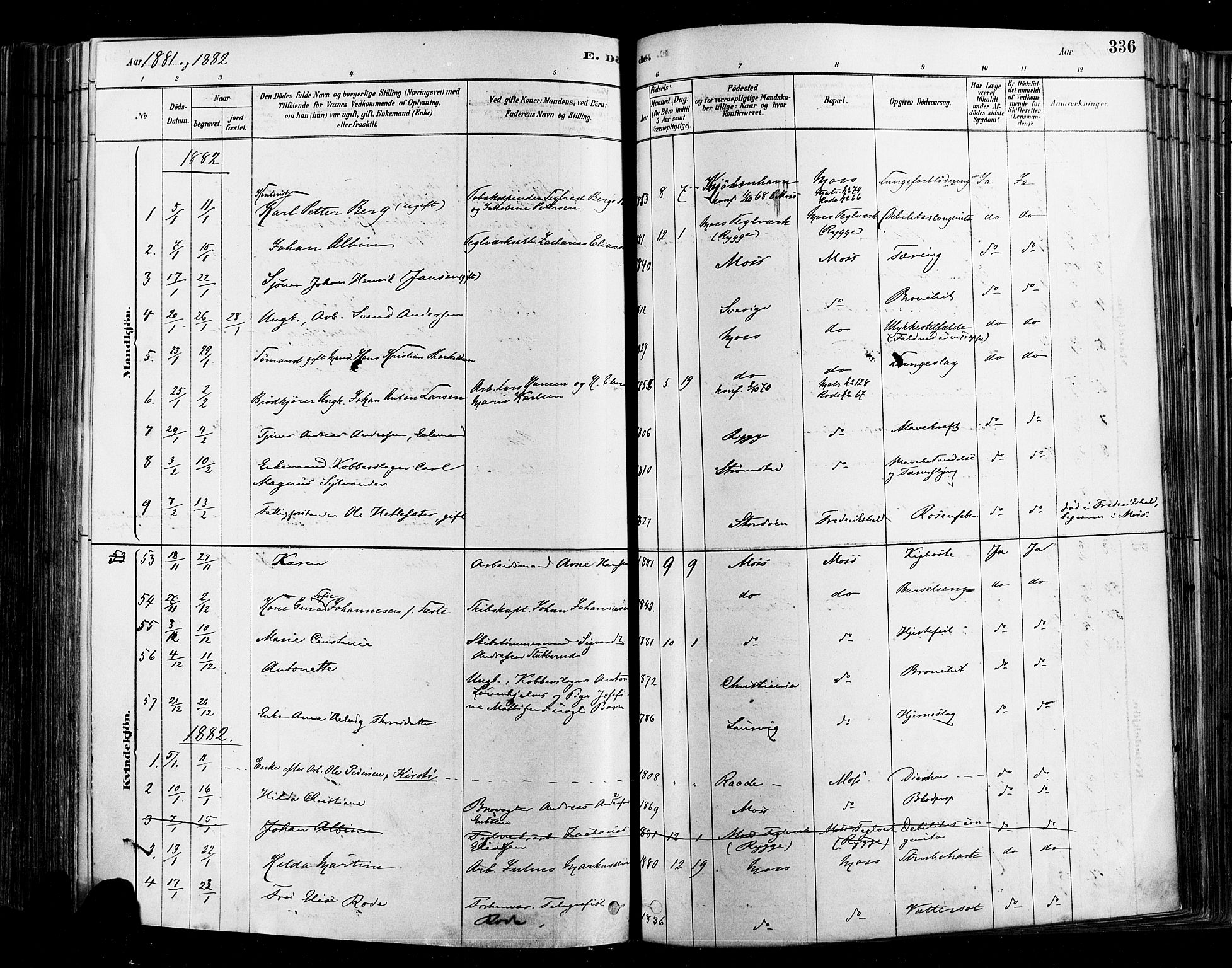 Moss prestekontor Kirkebøker, SAO/A-2003/F/Fb/L0001: Parish register (official) no. II 1, 1878-1886, p. 336