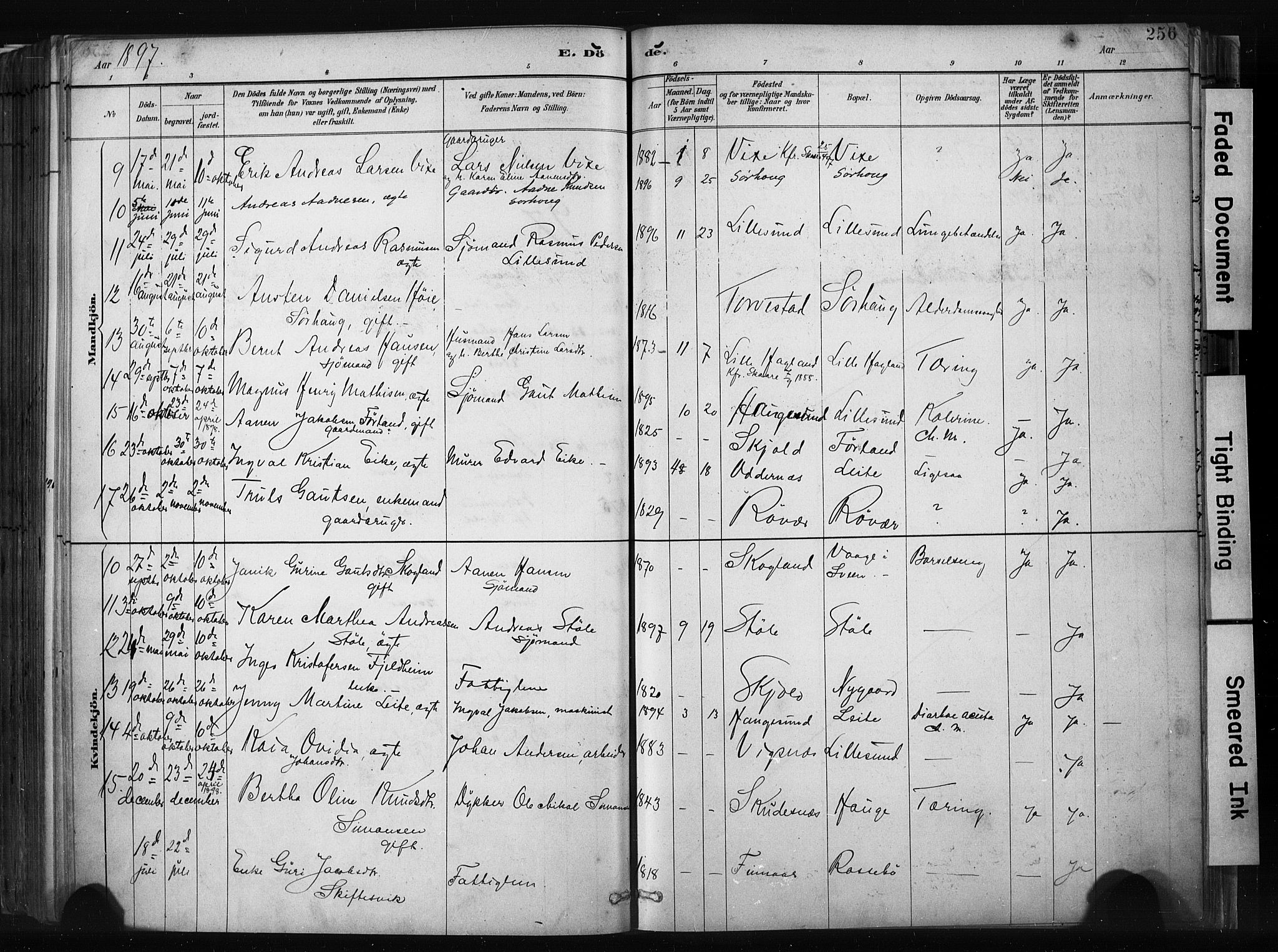 Haugesund sokneprestkontor, AV/SAST-A -101863/H/Ha/Haa/L0004: Parish register (official) no. A 4, 1886-1908, p. 256