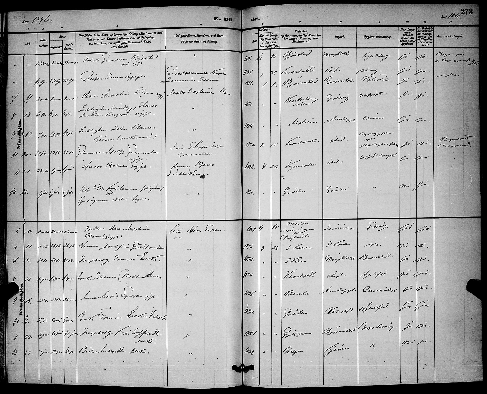 Solum kirkebøker, SAKO/A-306/G/Ga/L0007: Parish register (copy) no. I 7, 1884-1898, p. 273