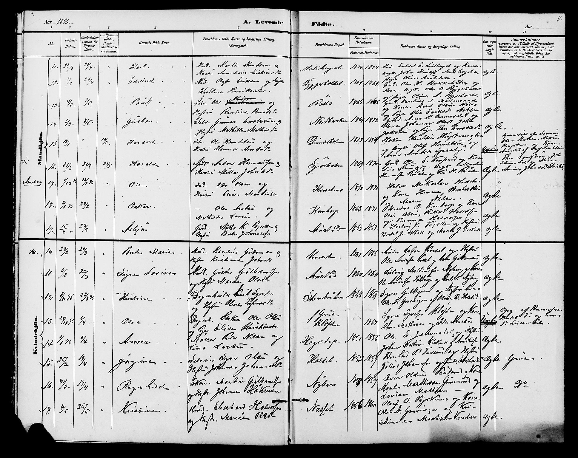 Hof prestekontor, SAH/PREST-038/H/Ha/Hab/L0001: Parish register (copy) no. 1, 1895-1914, p. 8