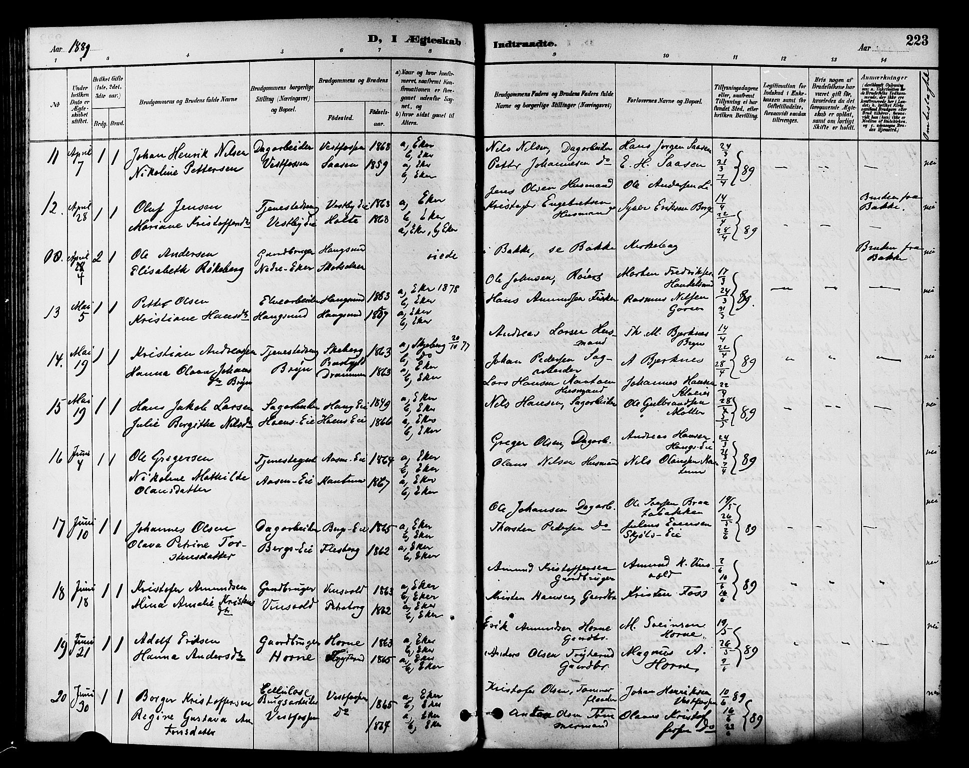 Eiker kirkebøker, AV/SAKO-A-4/F/Fb/L0002: Parish register (official) no. II 2, 1889-1896, p. 223