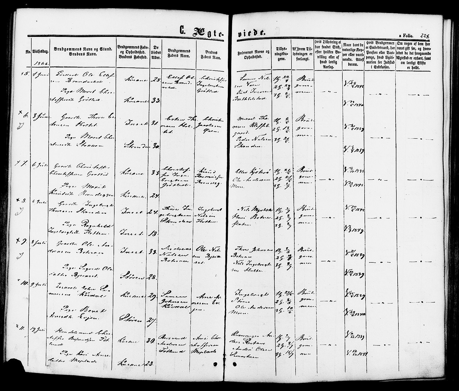 Kvikne prestekontor, AV/SAH-PREST-064/H/Ha/Haa/L0006: Parish register (official) no. 6, 1863-1886, p. 228