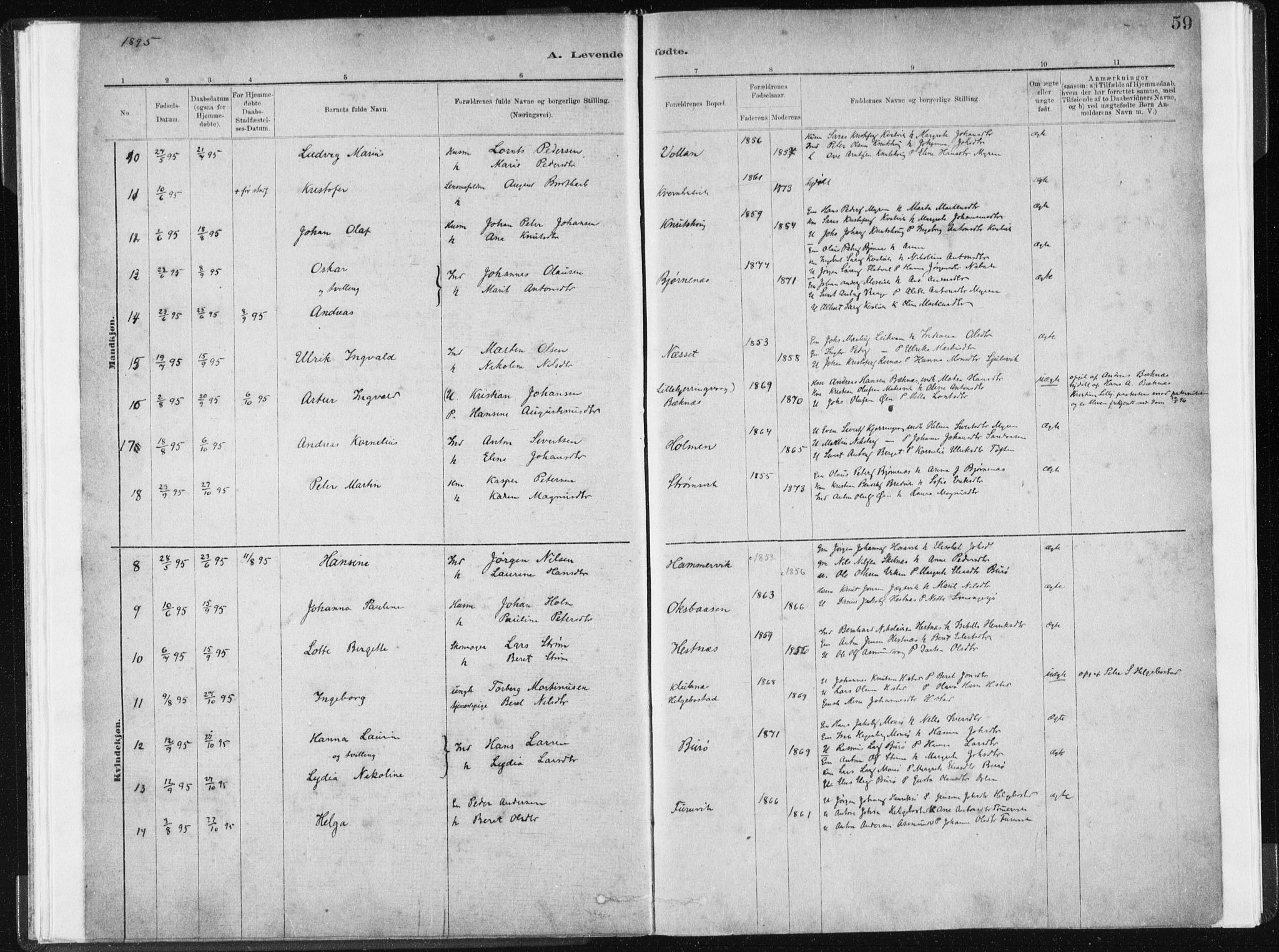 Ministerialprotokoller, klokkerbøker og fødselsregistre - Sør-Trøndelag, SAT/A-1456/634/L0533: Parish register (official) no. 634A09, 1882-1901, p. 59