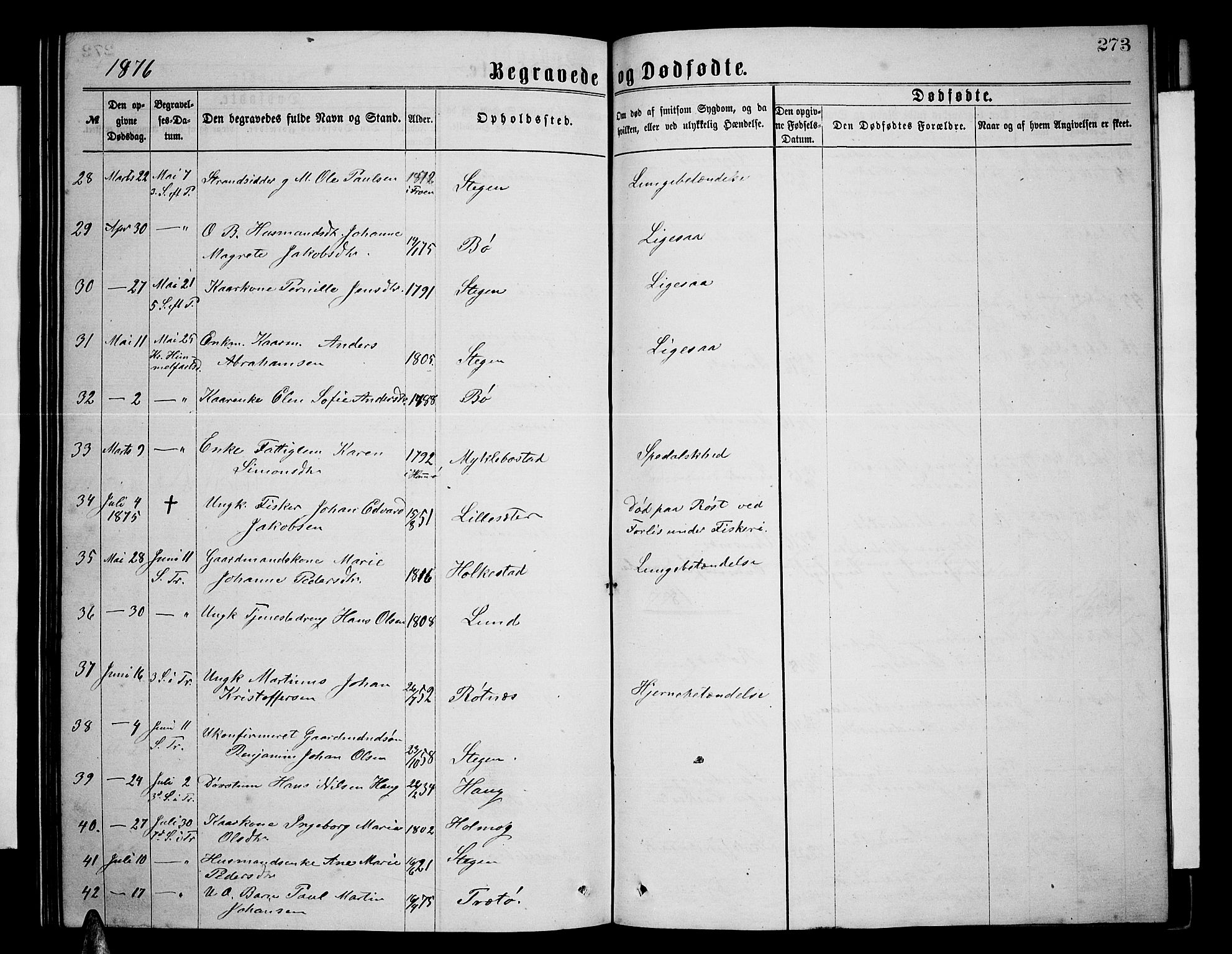 Ministerialprotokoller, klokkerbøker og fødselsregistre - Nordland, AV/SAT-A-1459/855/L0815: Parish register (copy) no. 855C04, 1865-1878, p. 273