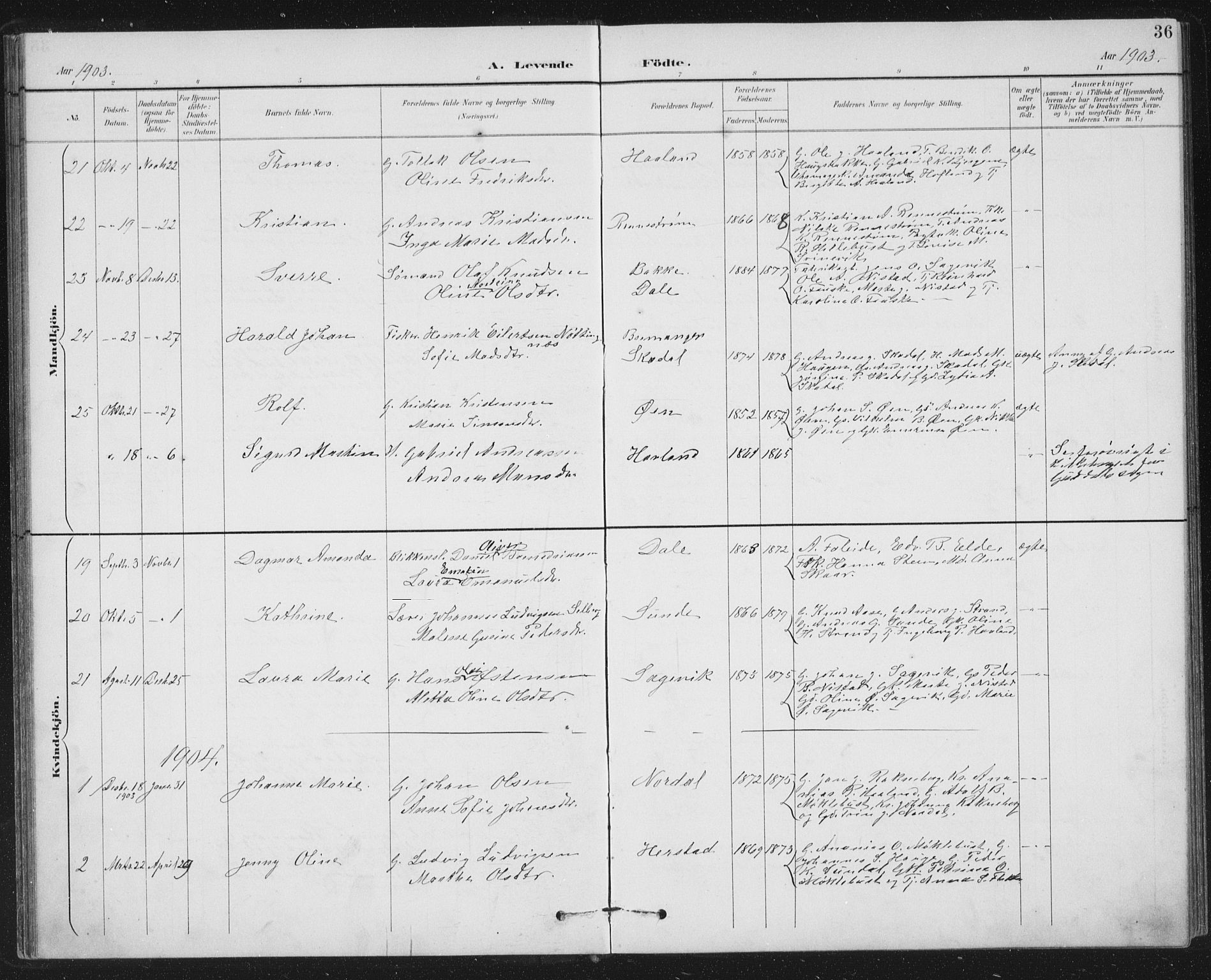 Fjaler sokneprestembete, AV/SAB-A-79801/H/Hab/Habc/L0003: Parish register (copy) no. C 3, 1894-1917, p. 36