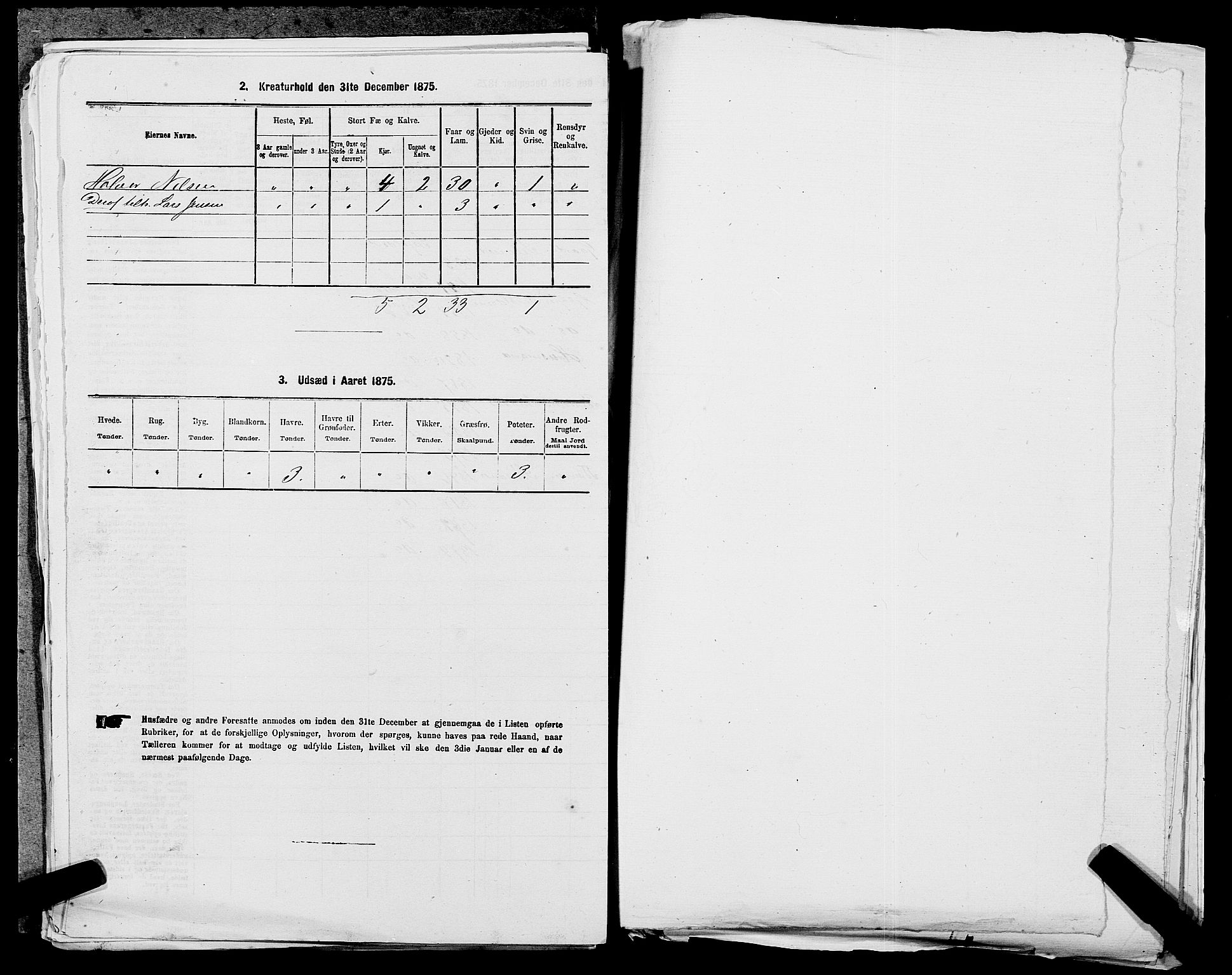 SAST, 1875 census for 1139P Nedstrand, 1875, p. 547