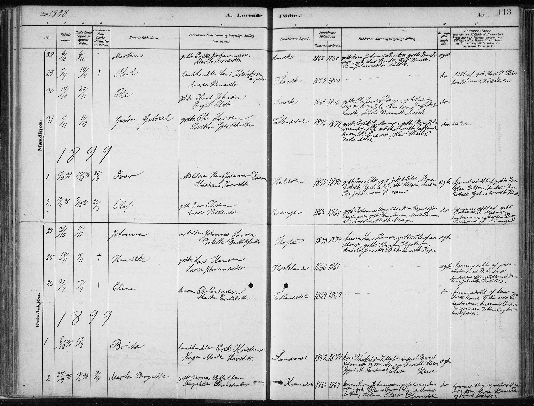 Masfjorden Sokneprestembete, SAB/A-77001: Parish register (official) no. B  1, 1876-1899, p. 113