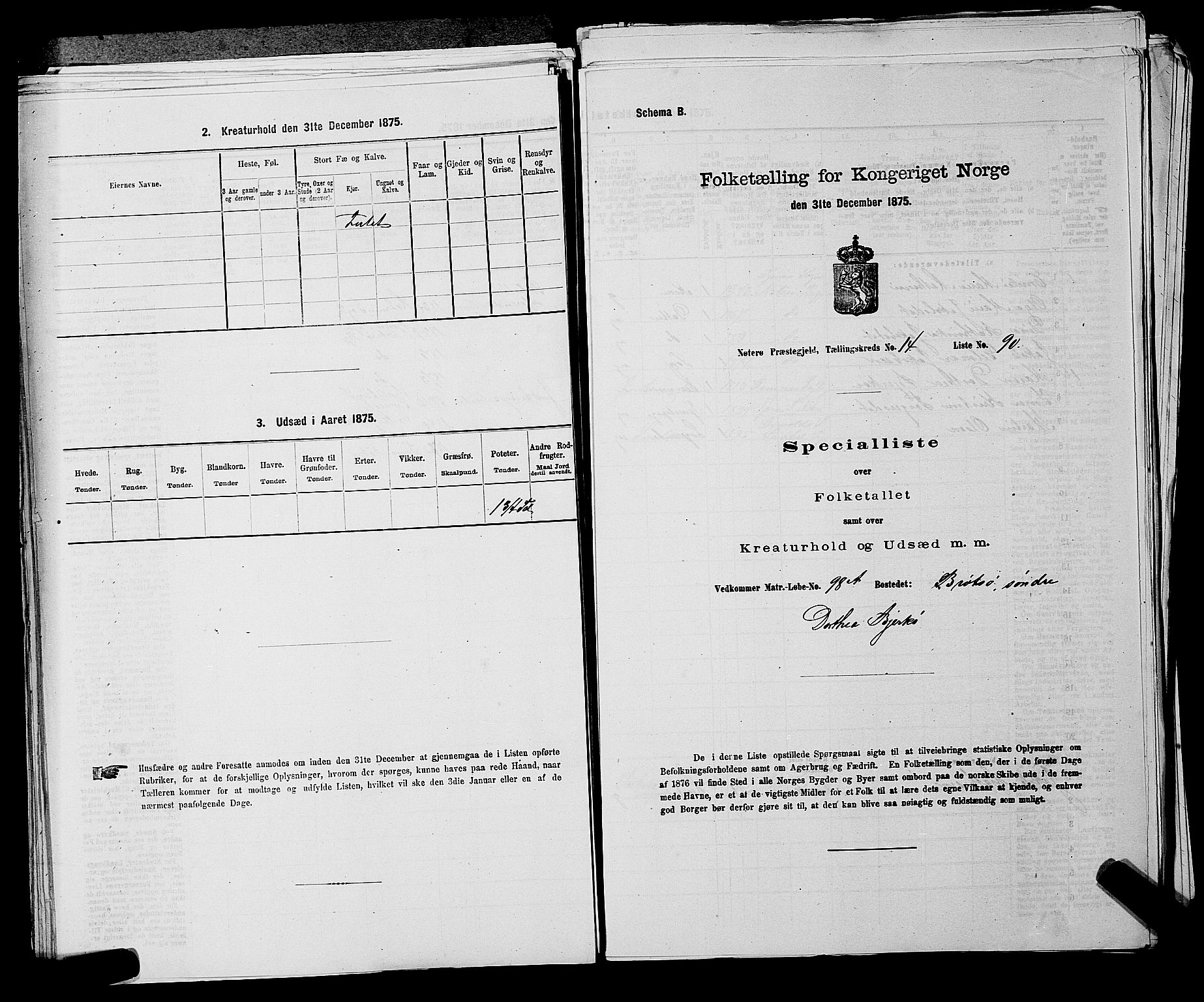 SAKO, 1875 census for 0722P Nøtterøy, 1875, p. 3080