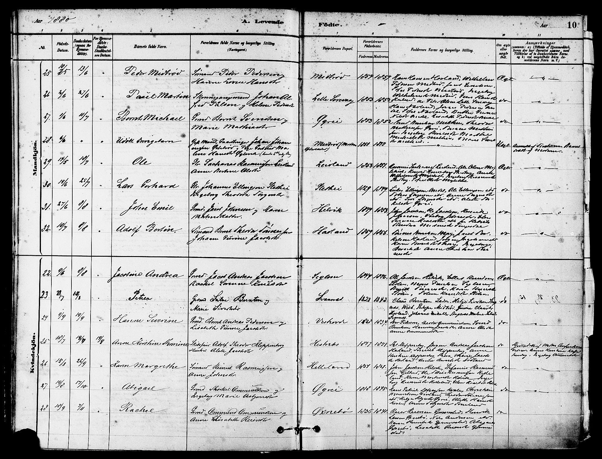 Eigersund sokneprestkontor, AV/SAST-A-101807/S08/L0017: Parish register (official) no. A 14, 1879-1892, p. 10