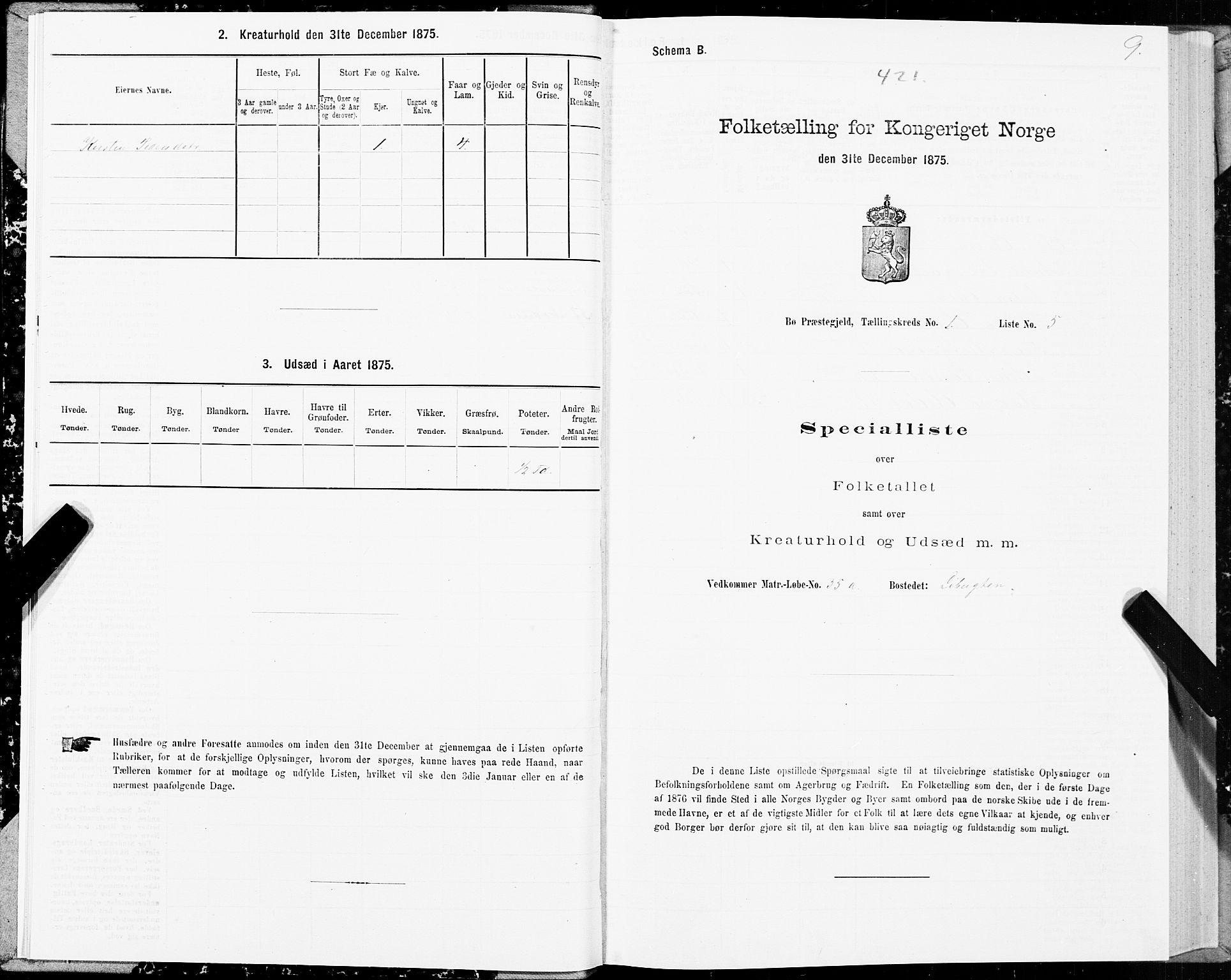 SAT, 1875 census for 1867P Bø, 1875, p. 1009