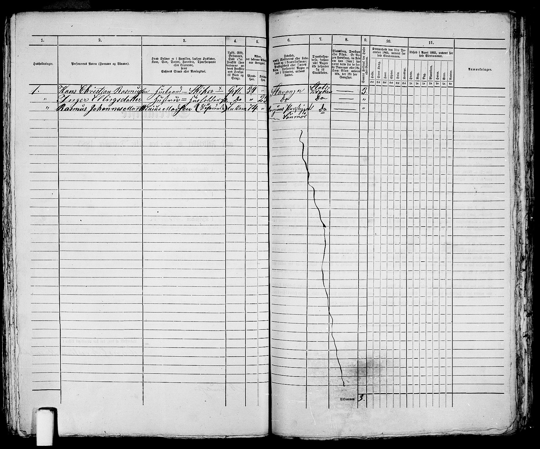 RA, 1865 census for Stavanger, 1865, p. 2895