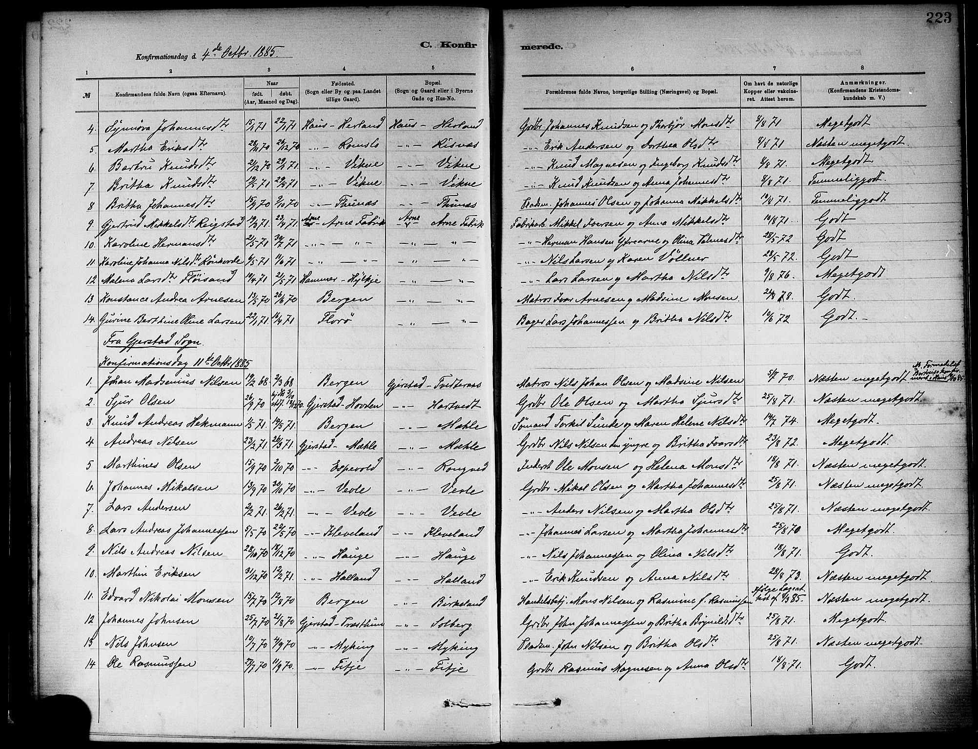 Haus sokneprestembete, AV/SAB-A-75601/H/Haa: Parish register (official) no. A 19I, 1878-1886, p. 223