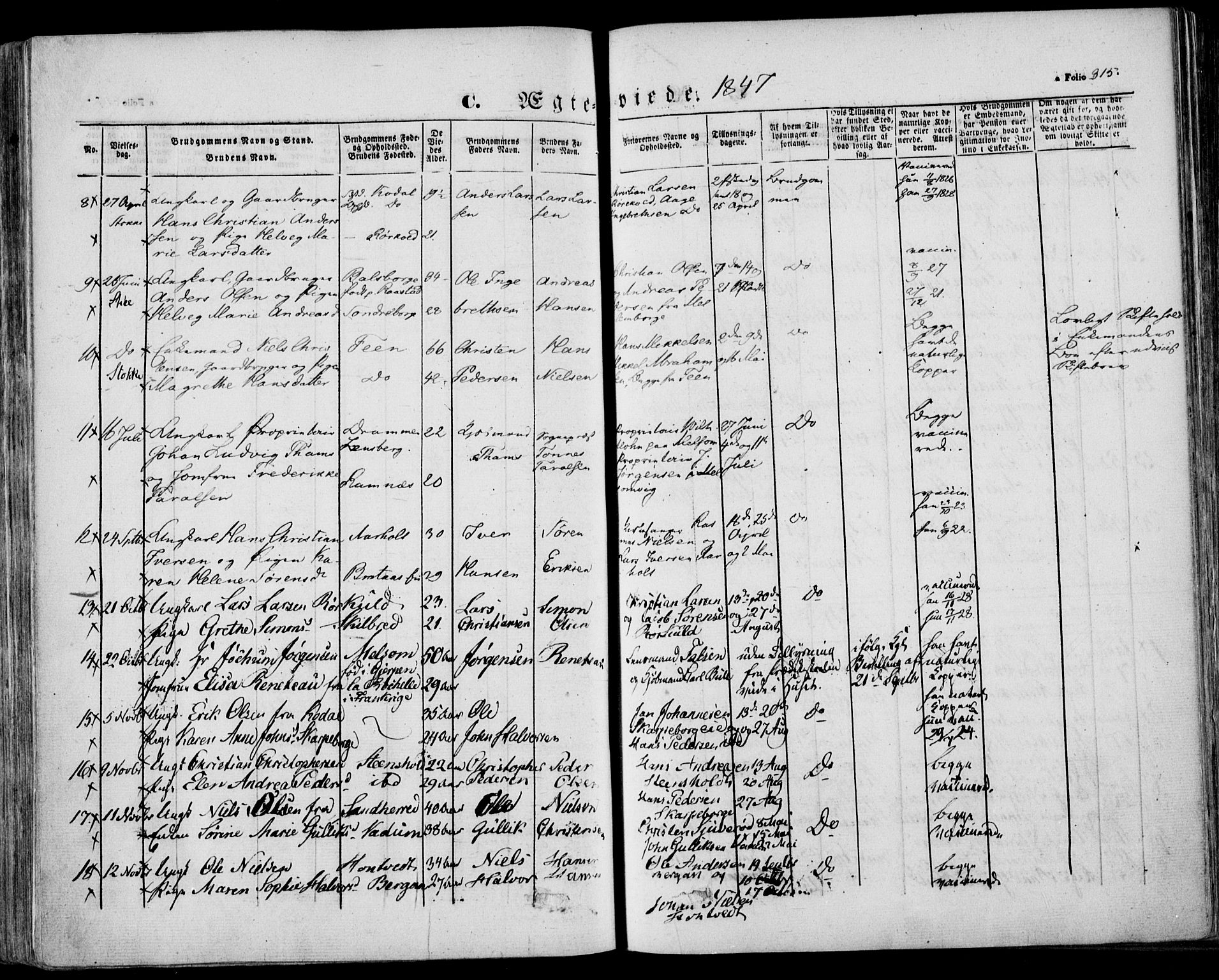 Stokke kirkebøker, AV/SAKO-A-320/F/Fa/L0007: Parish register (official) no. I 7, 1844-1857, p. 315