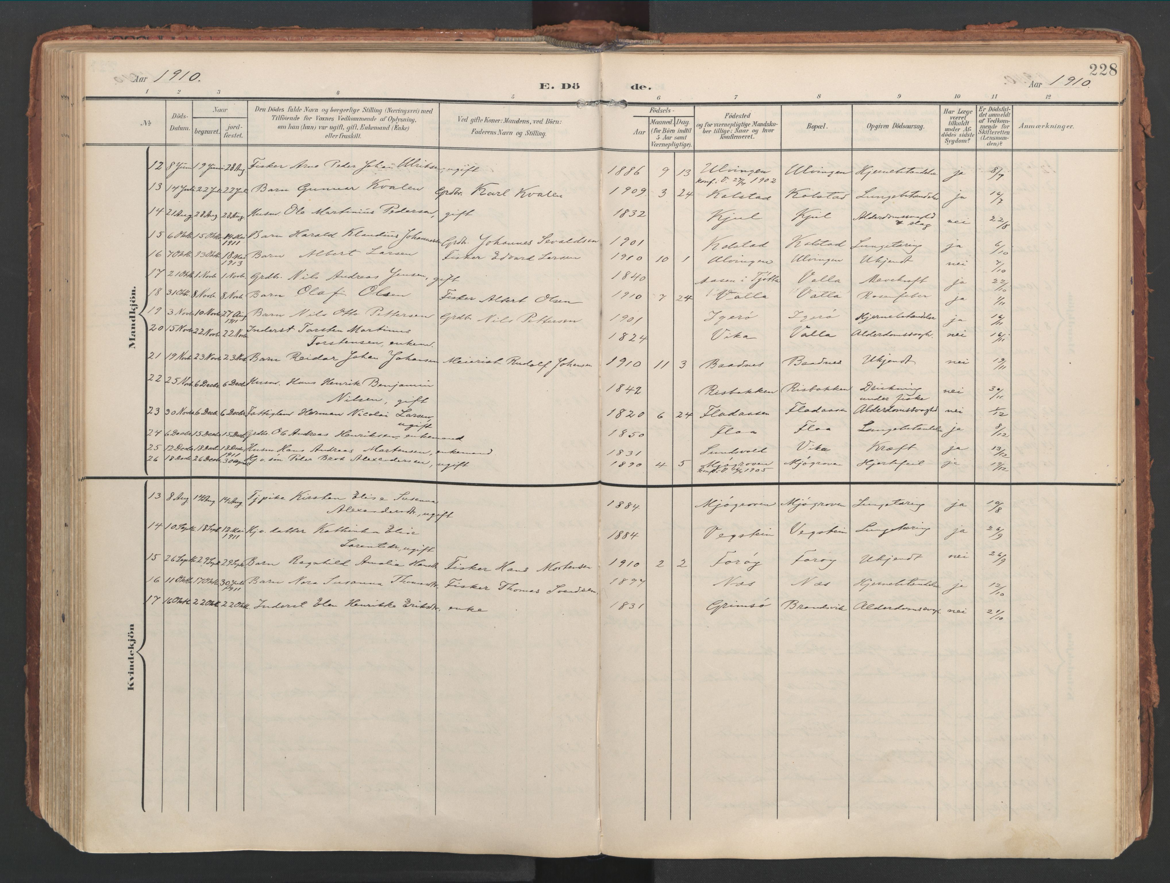 Ministerialprotokoller, klokkerbøker og fødselsregistre - Nordland, AV/SAT-A-1459/816/L0250: Parish register (official) no. 816A16, 1903-1923, p. 228