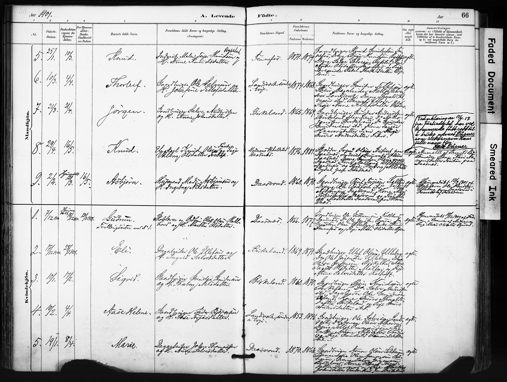 Evje sokneprestkontor, AV/SAK-1111-0008/F/Fa/Fab/L0003: Parish register (official) no. A 3, 1884-1909, p. 66