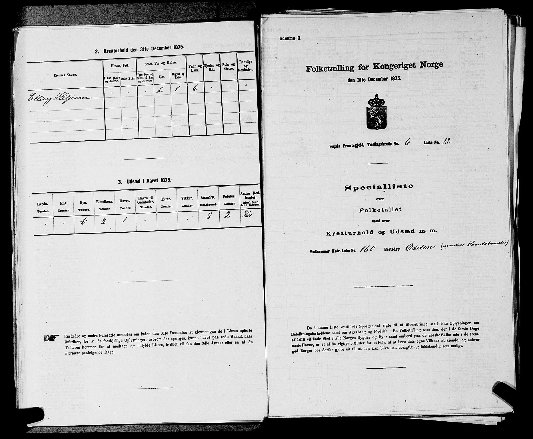 SAKO, 1875 census for 0621P Sigdal, 1875, p. 873