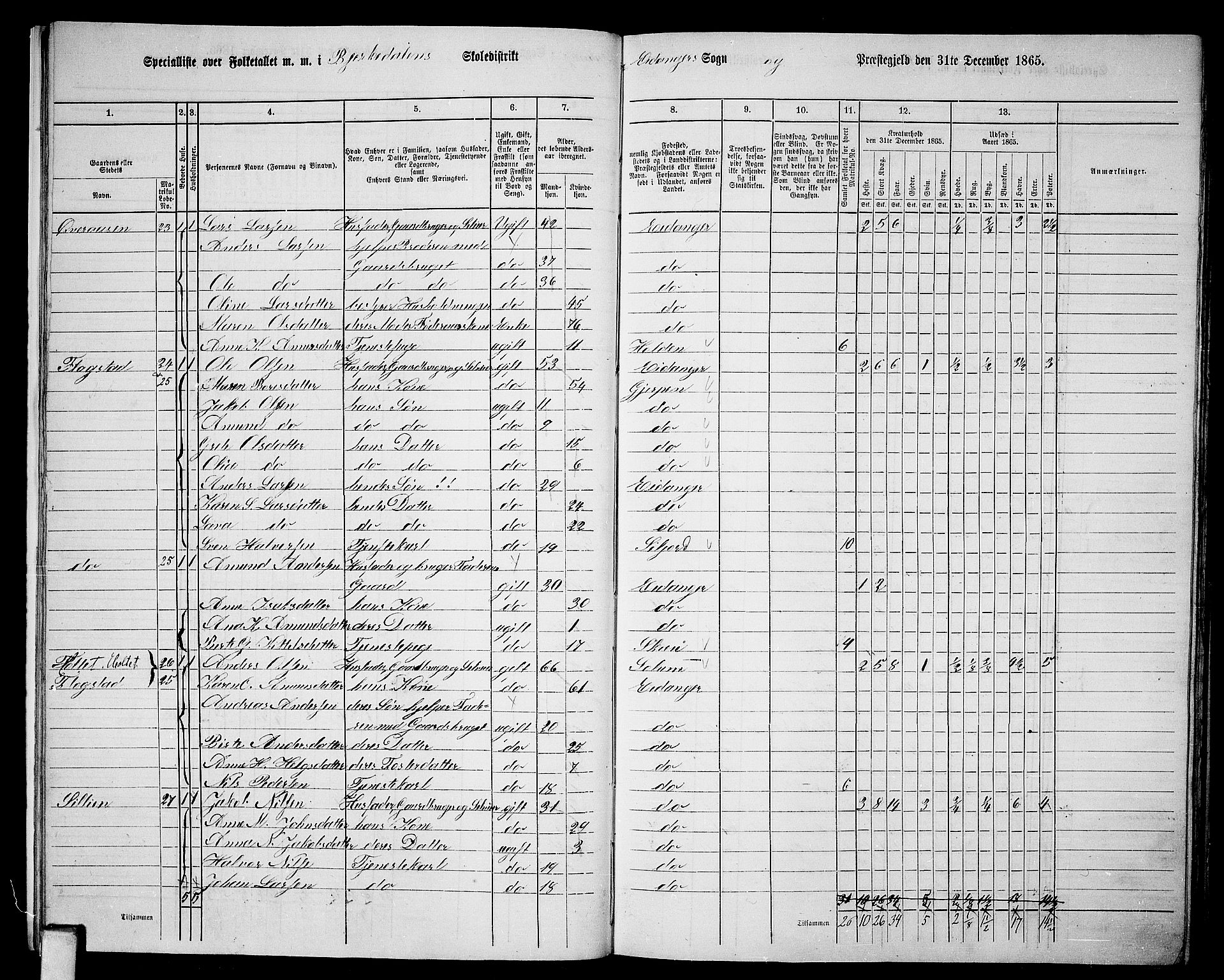 RA, 1865 census for Eidanger, 1865, p. 17