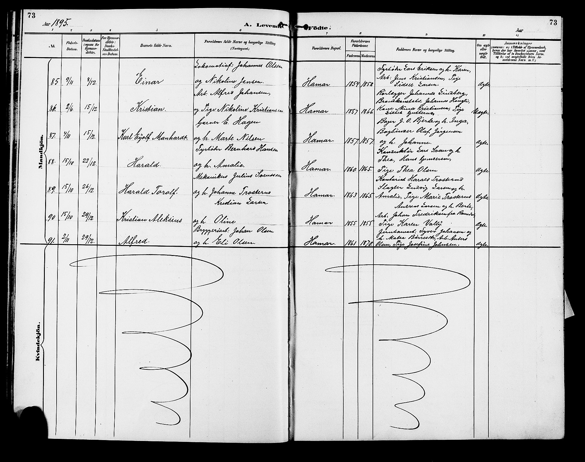 Vang prestekontor, Hedmark, AV/SAH-PREST-008/H/Ha/Hab/L0013: Parish register (copy) no. 13, 1890-1899, p. 73