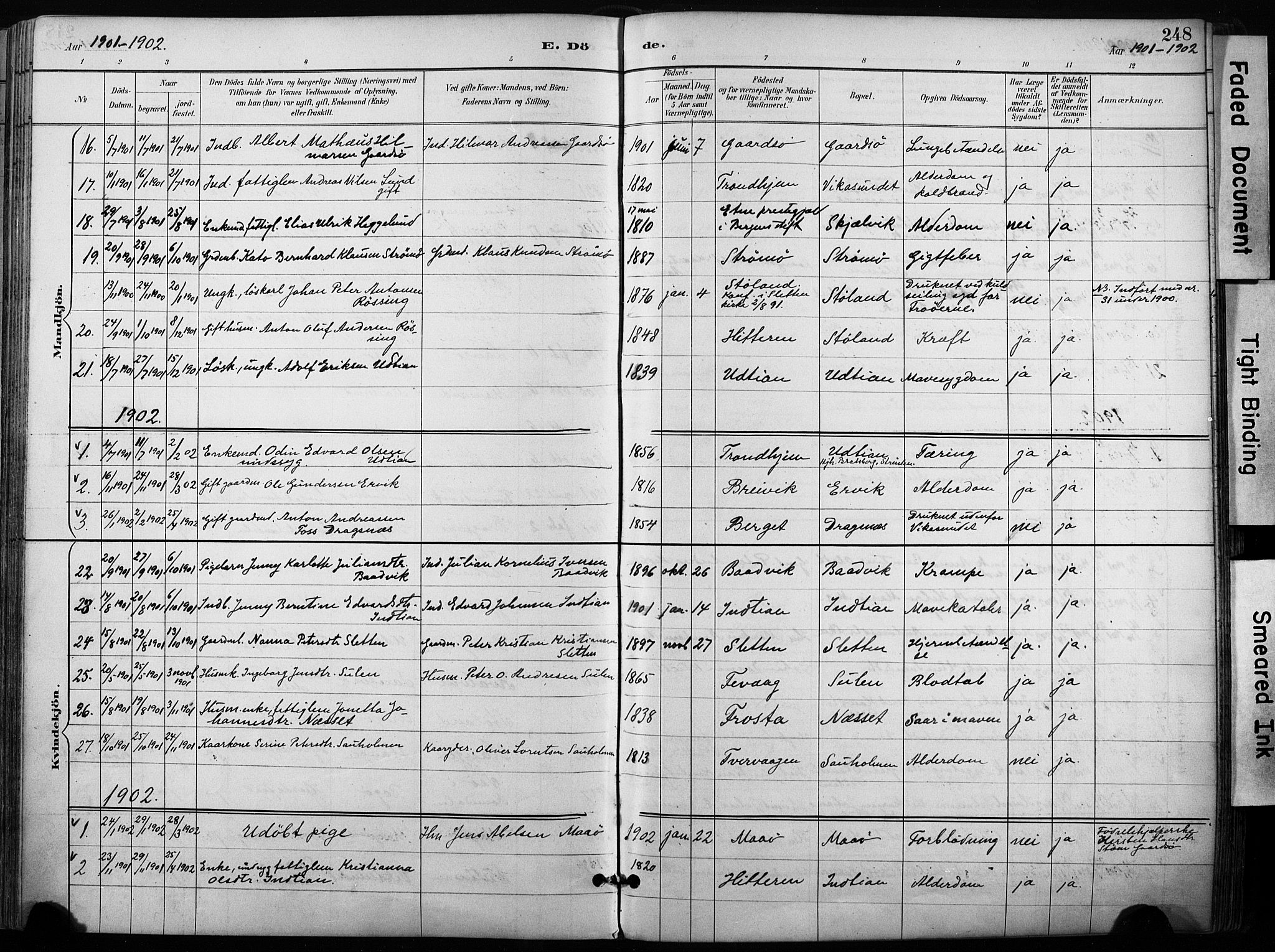 Ministerialprotokoller, klokkerbøker og fødselsregistre - Sør-Trøndelag, SAT/A-1456/640/L0579: Parish register (official) no. 640A04, 1889-1902, p. 248