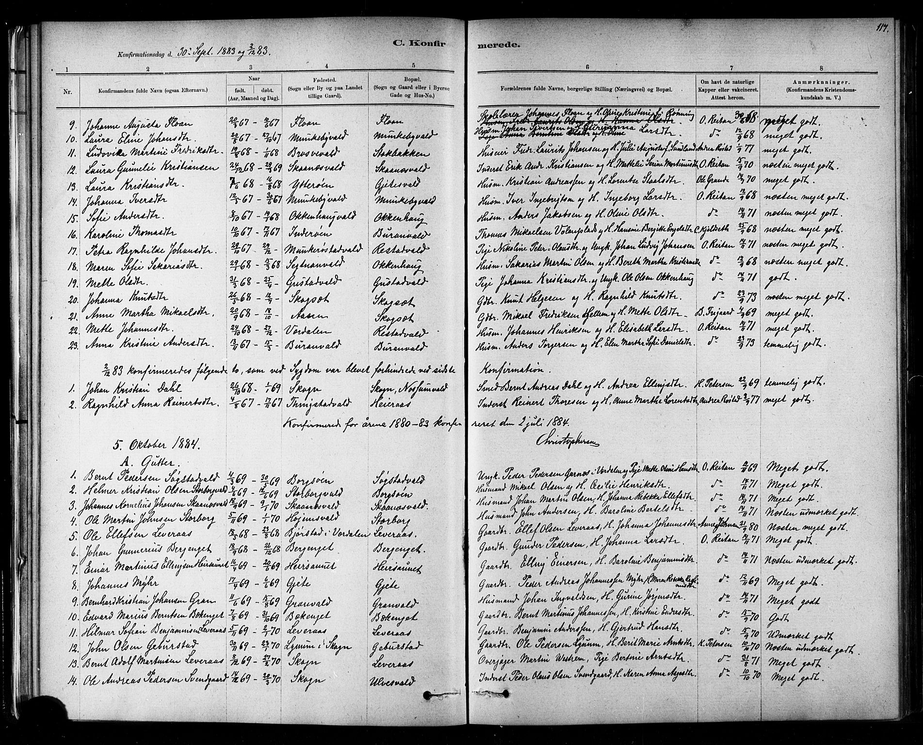 Ministerialprotokoller, klokkerbøker og fødselsregistre - Nord-Trøndelag, SAT/A-1458/721/L0208: Parish register (copy) no. 721C01, 1880-1917, p. 117