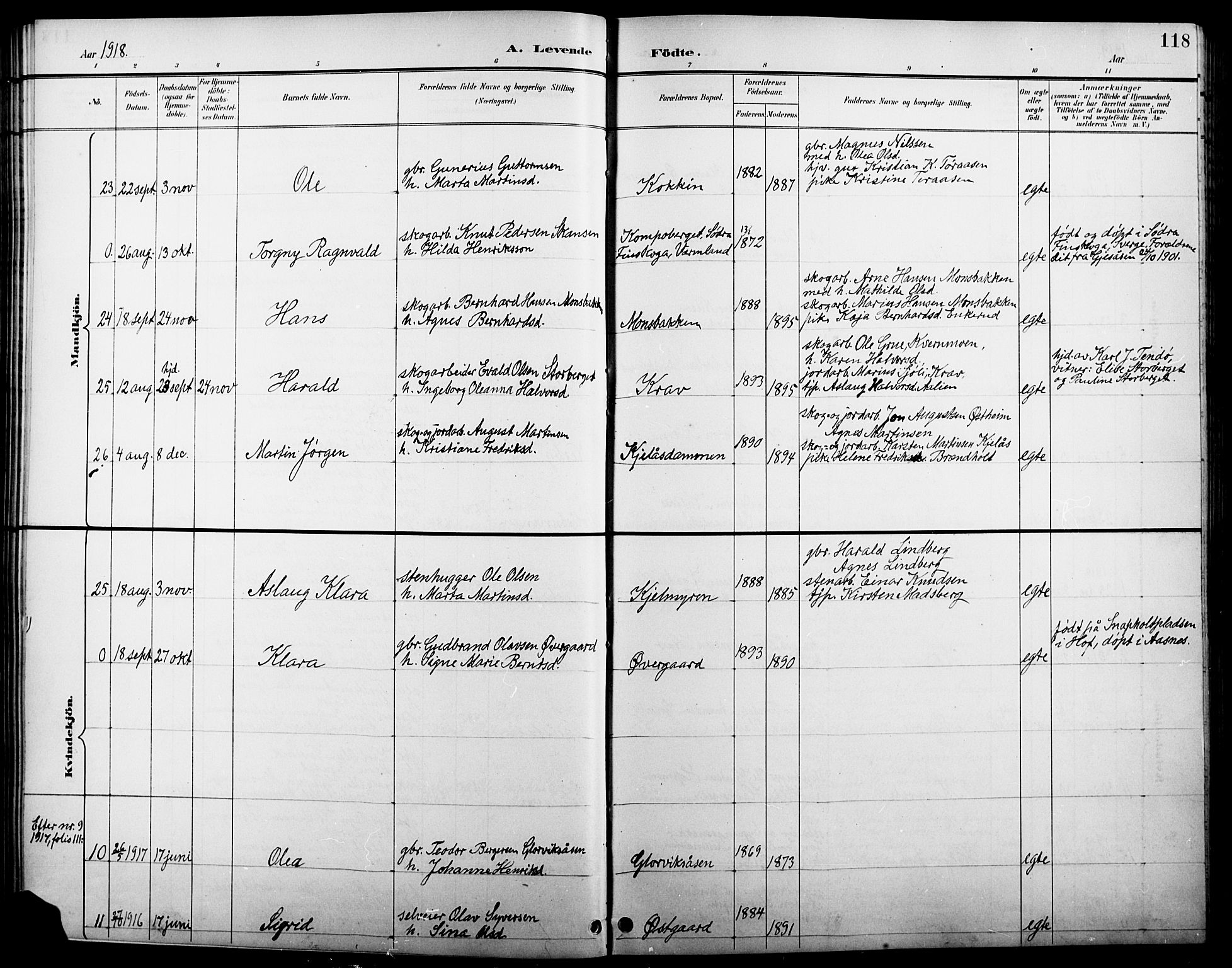 Åsnes prestekontor, AV/SAH-PREST-042/H/Ha/Hab/L0005: Parish register (copy) no. 5, 1895-1920, p. 118