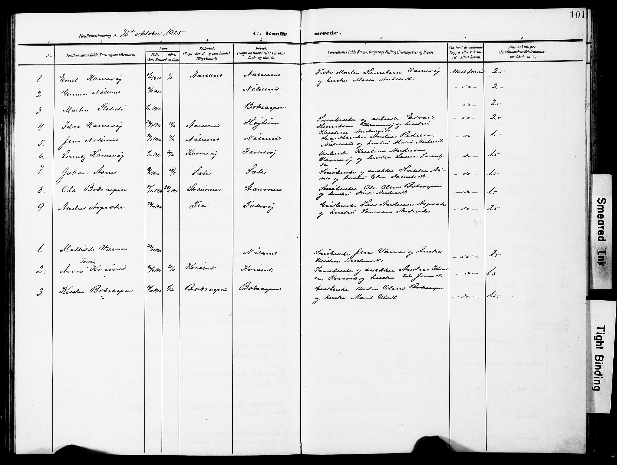 Ministerialprotokoller, klokkerbøker og fødselsregistre - Møre og Romsdal, AV/SAT-A-1454/587/L1001: Parish register (copy) no. 587C01, 1906-1927, p. 101